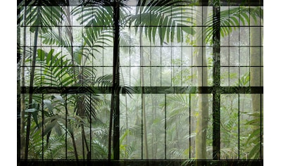 living walls Fototapete »Walls by Patel Rainforest 1«, Fenster Fototapete rainforest... kaufen