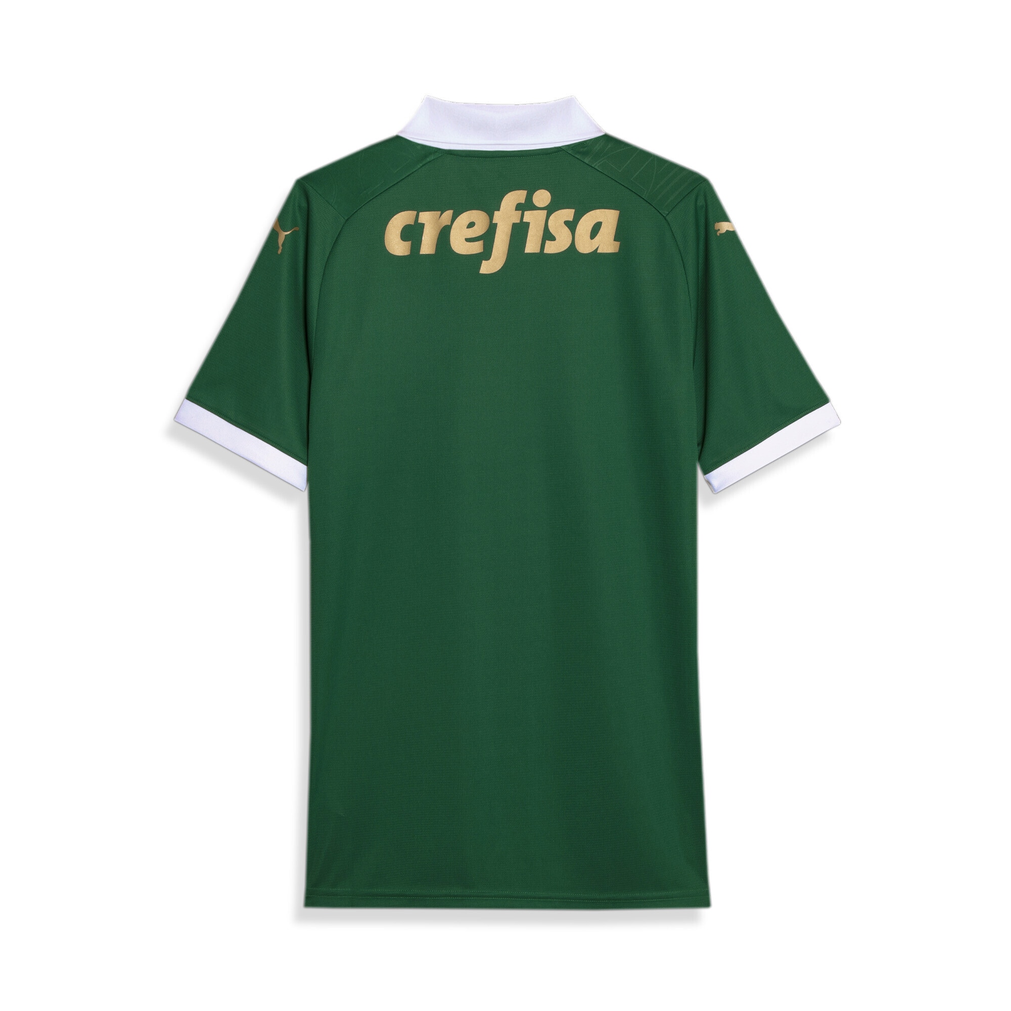 PUMA Trainingsshirt »Palmeiras Fans 2024 Heimtrikot Herren«