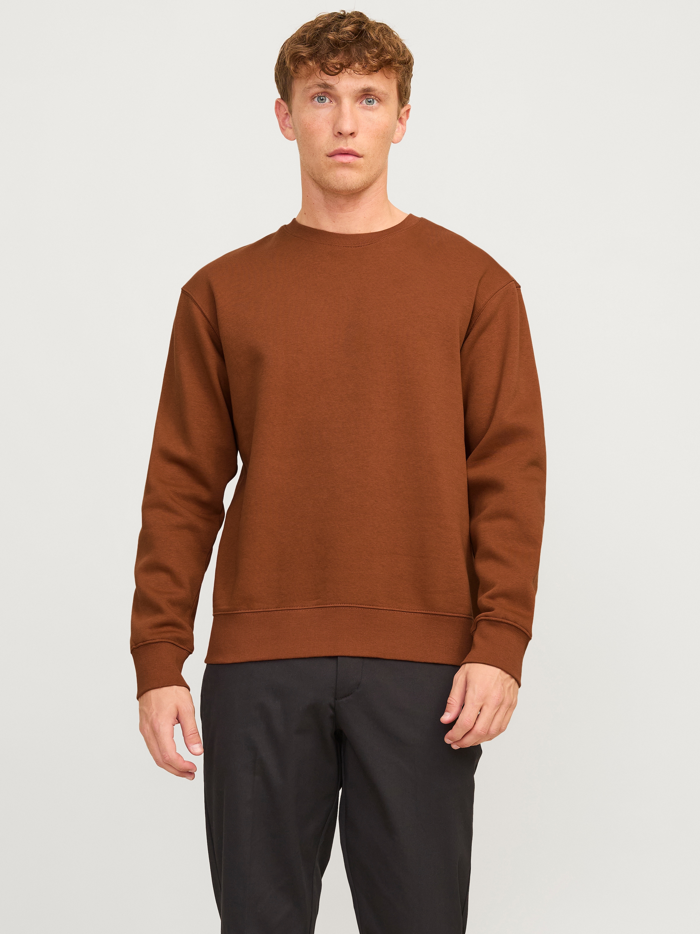 Sweatshirt »JJESTAR BASIC SWEAT CREW NECK NOOS«