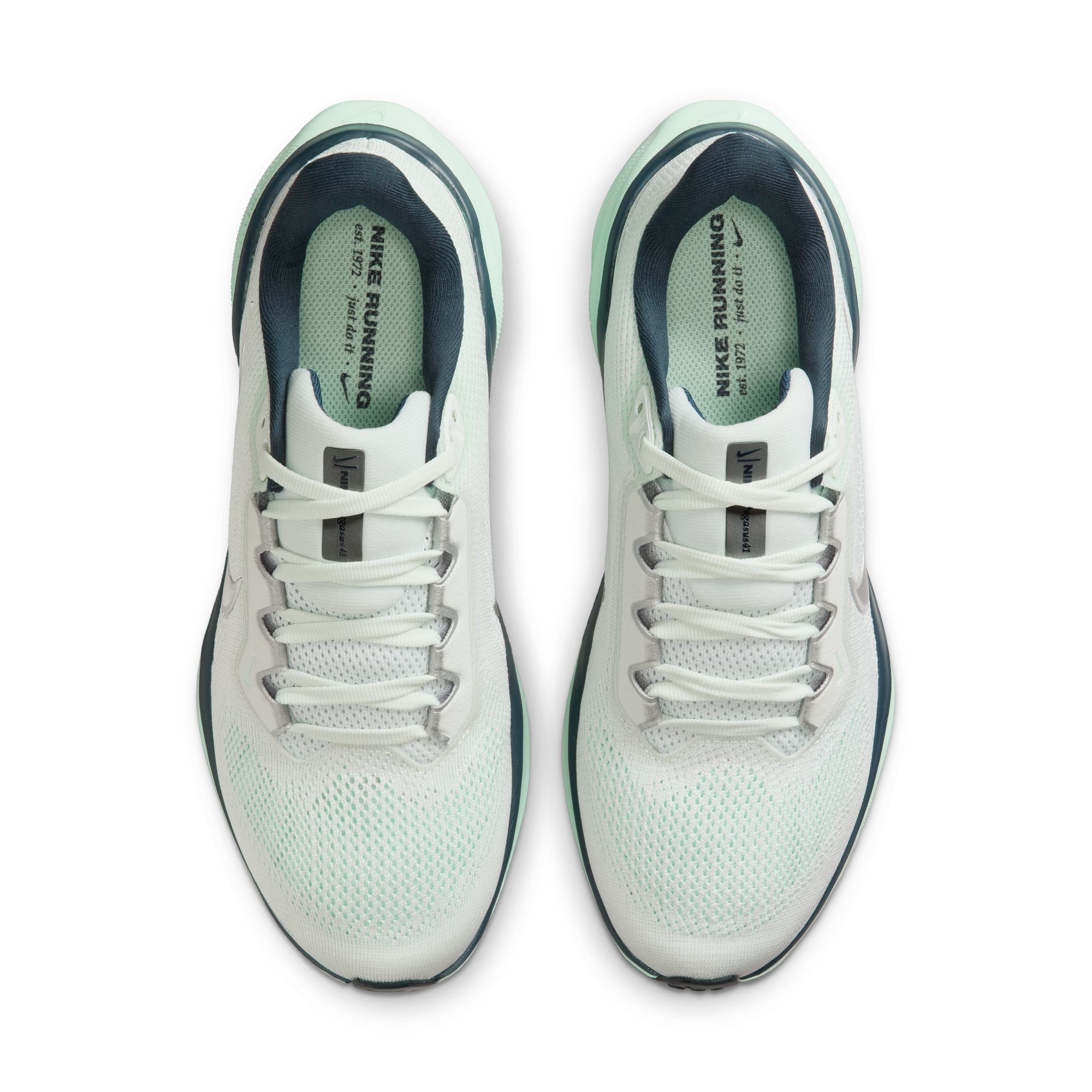 Nike Laufschuh »W AIR ZOOM PEGASUS 41«