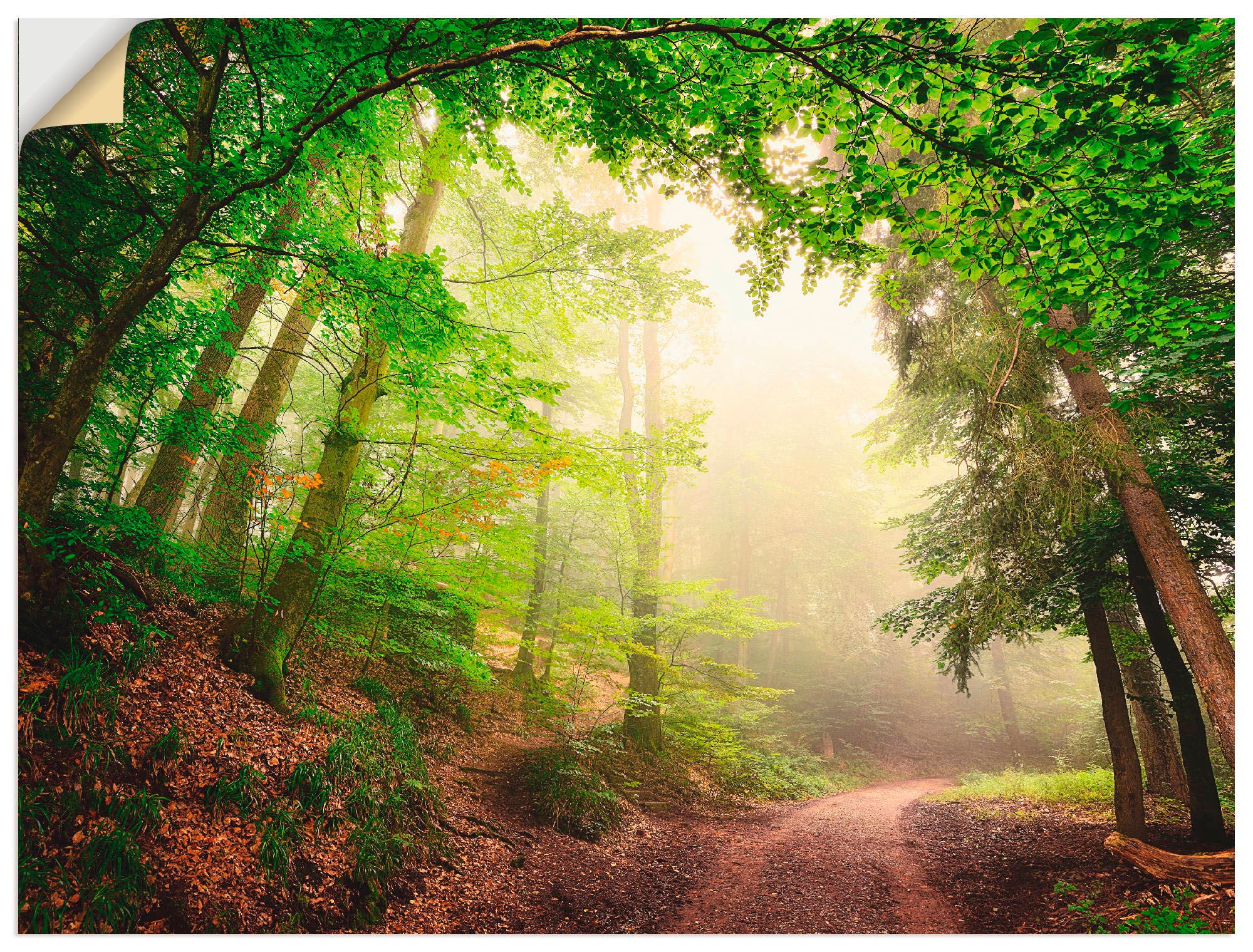 Artland Wandbild Wandaufkleber »Natürliche | als (1 Wald, Größen kaufen durch Torbögen in Bäume«, Leinwandbild, oder BAUR versch. Alubild, St.), Poster