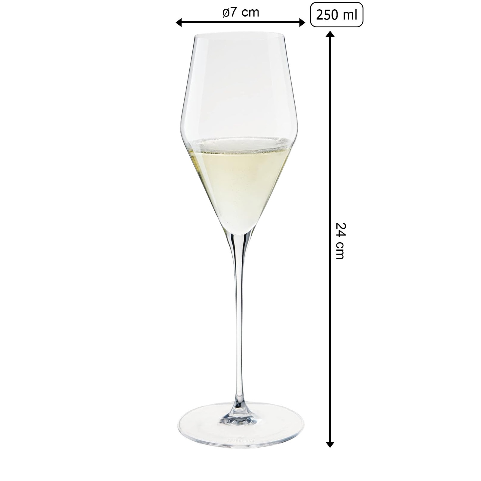 SPIEGELAU Champagnerglas "Champagnergläser + Poliertuch Definition 250 ml 2er Set transparent"