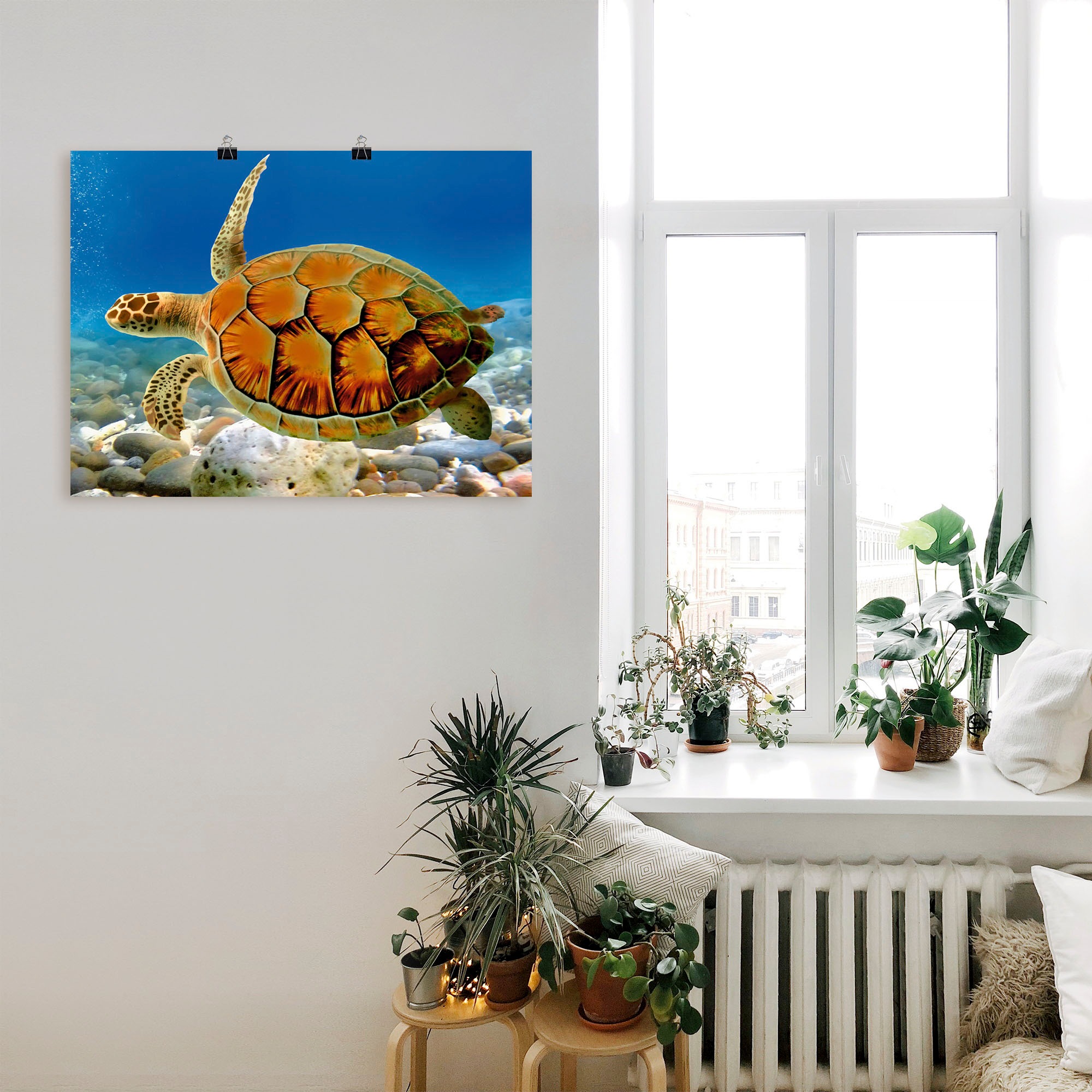 Artland Wandbild "Schildkröte", Wassertiere, (1 St.), als Leinwandbild, Pos günstig online kaufen