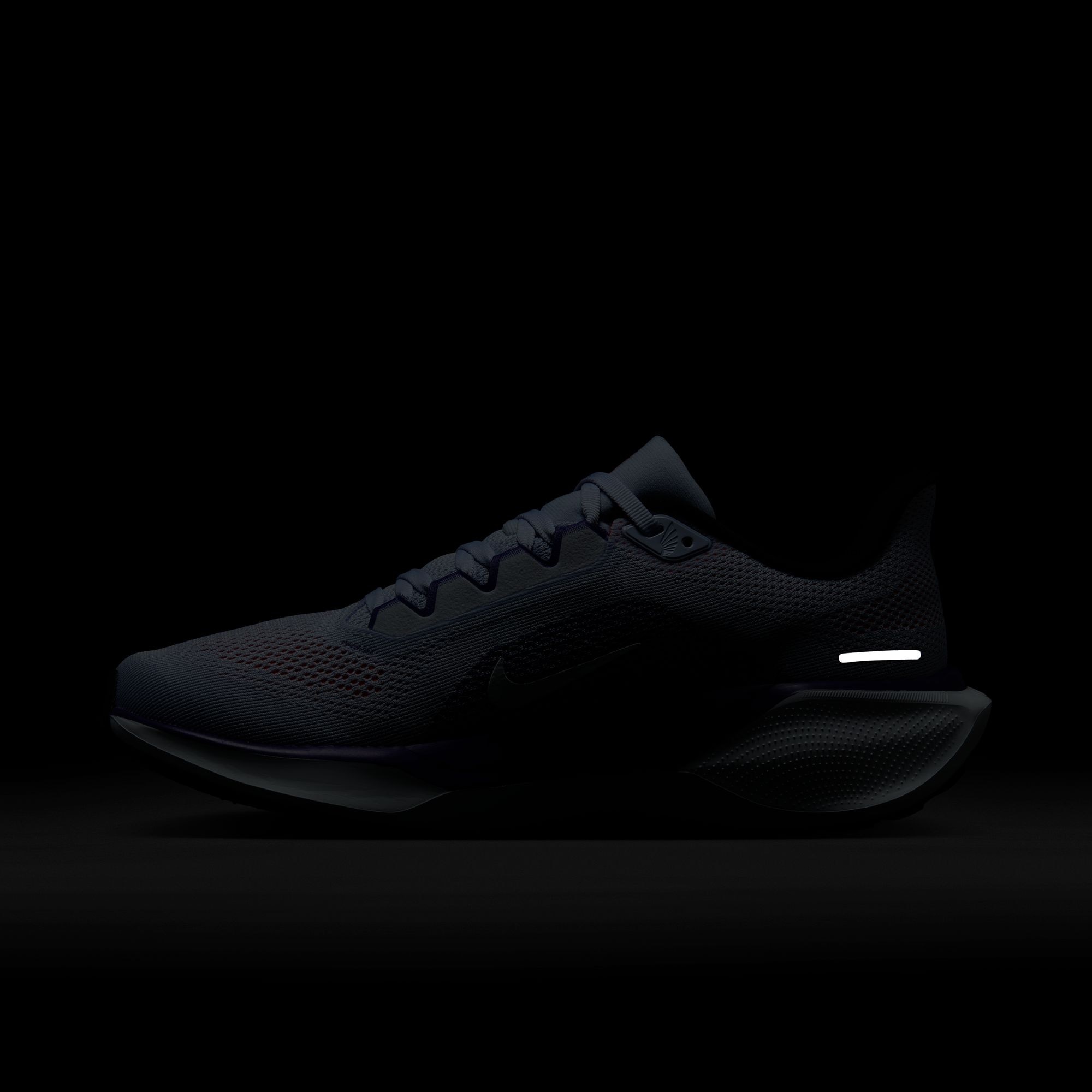 Nike Laufschuh »W AIR ZOOM PEGASUS 41«