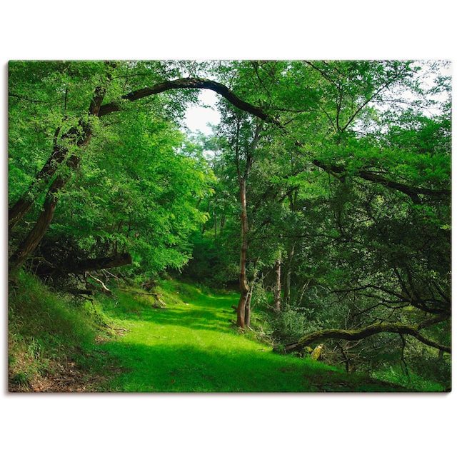 Artland Wandbild »Grüner Weg durch den Wald«, Wald, (1 St.), als  Leinwandbild, Wandaufkleber oder Poster in versch. Größen kaufen | BAUR