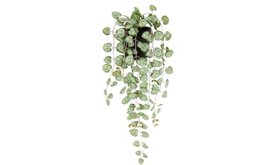 Kunstpflanze »Kunstpflanze Leuchterblume Hängende Pflanzen künstlich«