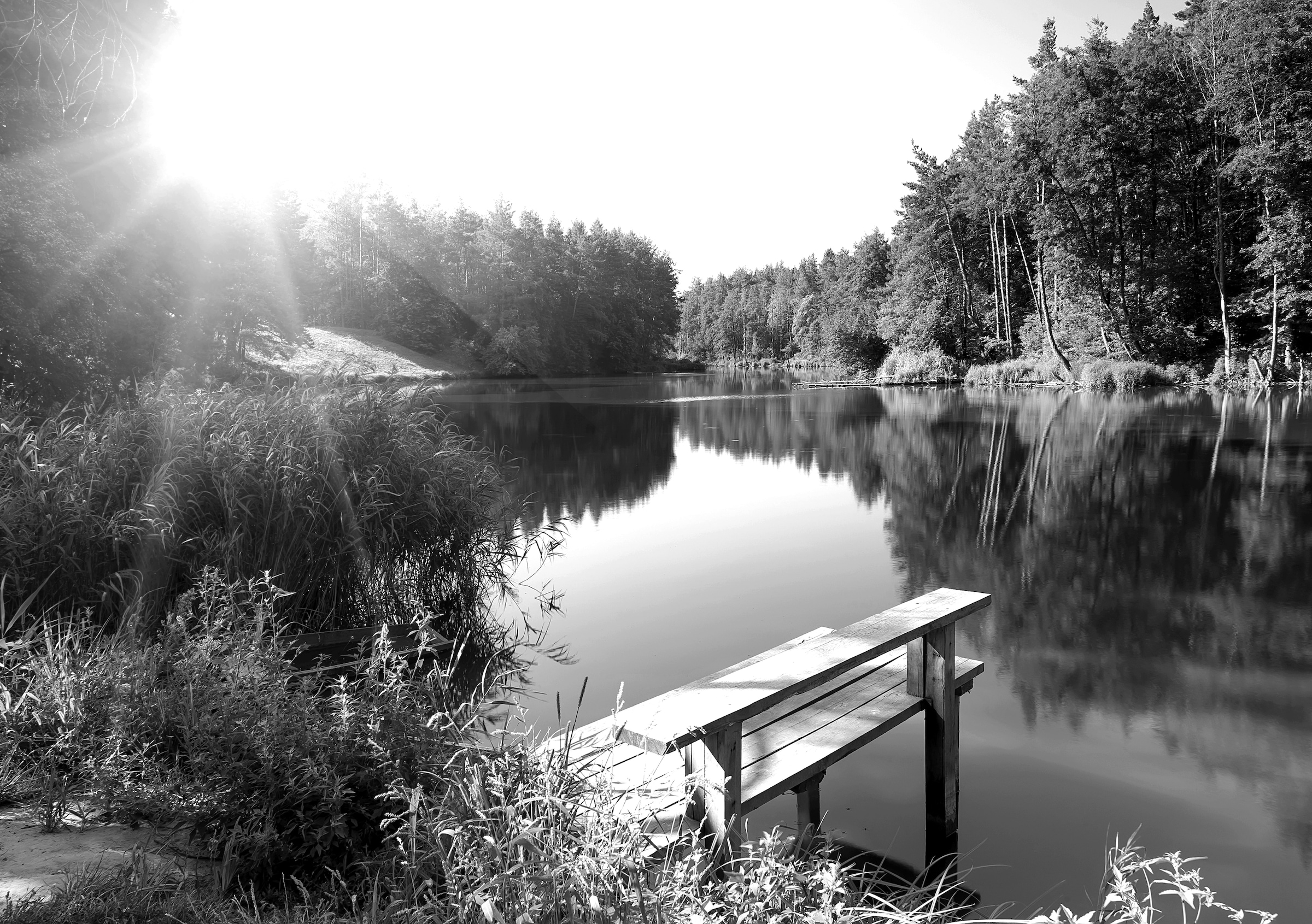 Papermoon Fototapete "Wald mir Fluss Schwarz & Weiß"