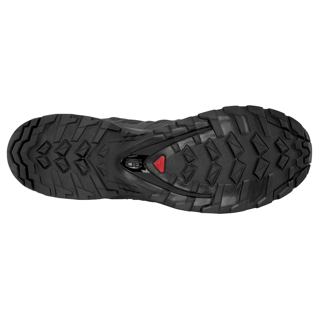 Salomon Trailrunningschuh »XA PRO 3D v8 GORE-TEX®«