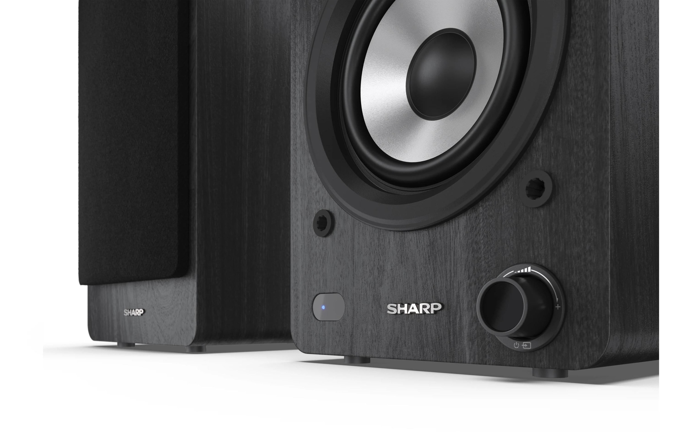 Sharp Lautsprecher »Regallautsprecher CP-SS30« ( )