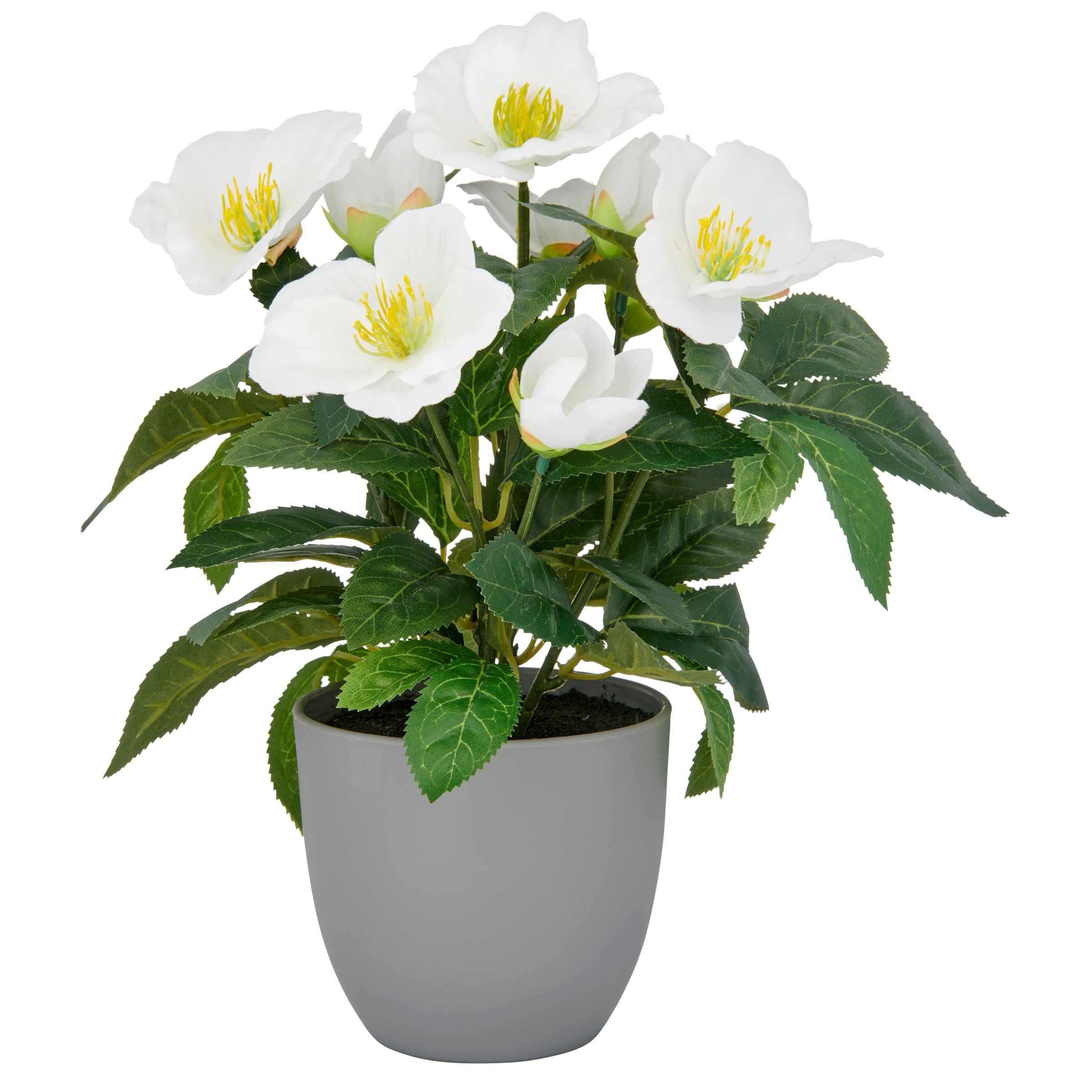 Creativ green Kunstblume "Christrose" mit üppiger Blütenpracht günstig online kaufen