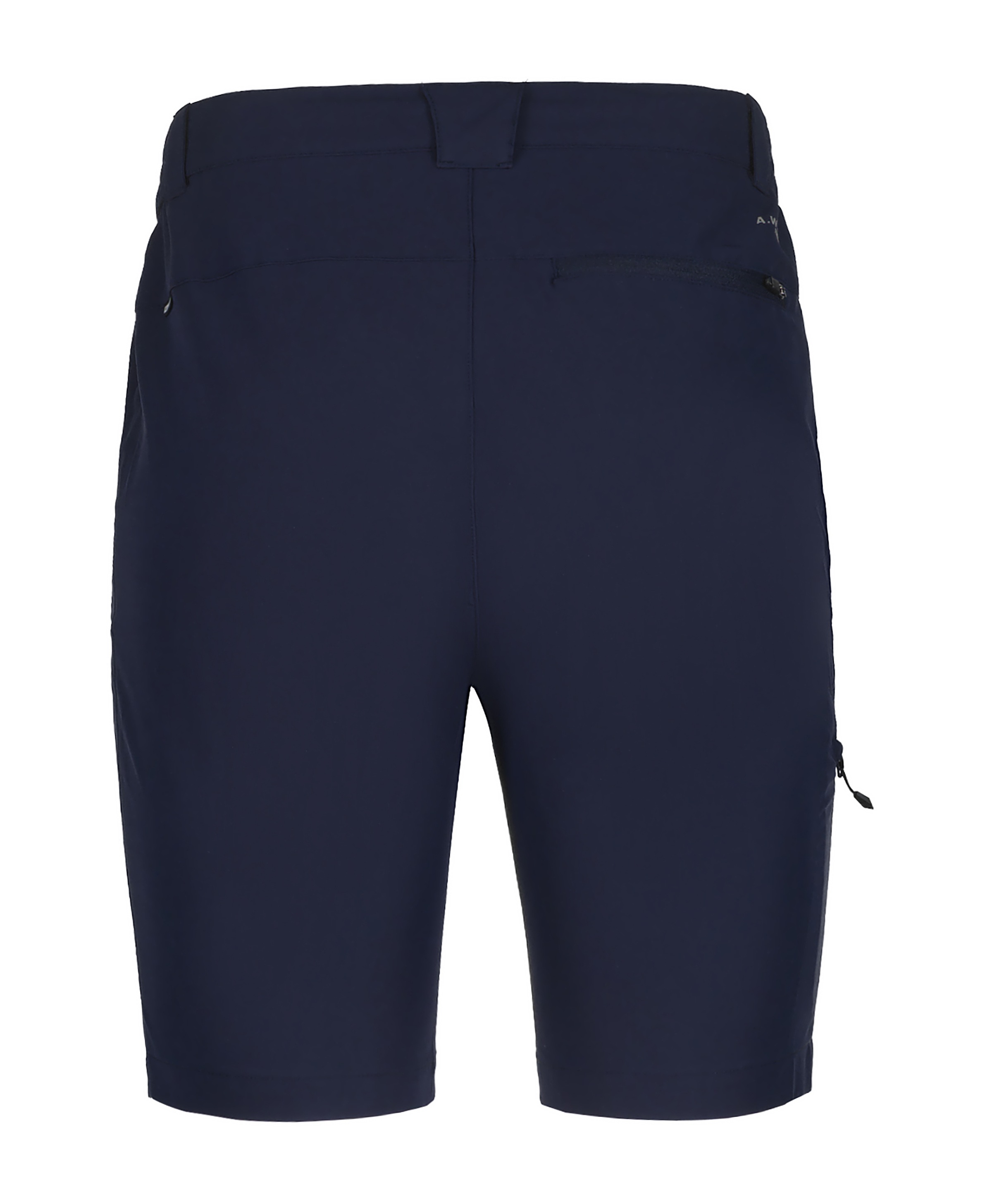 Icepeak Trekkingshorts »Icepeak Shorts BERWYN«