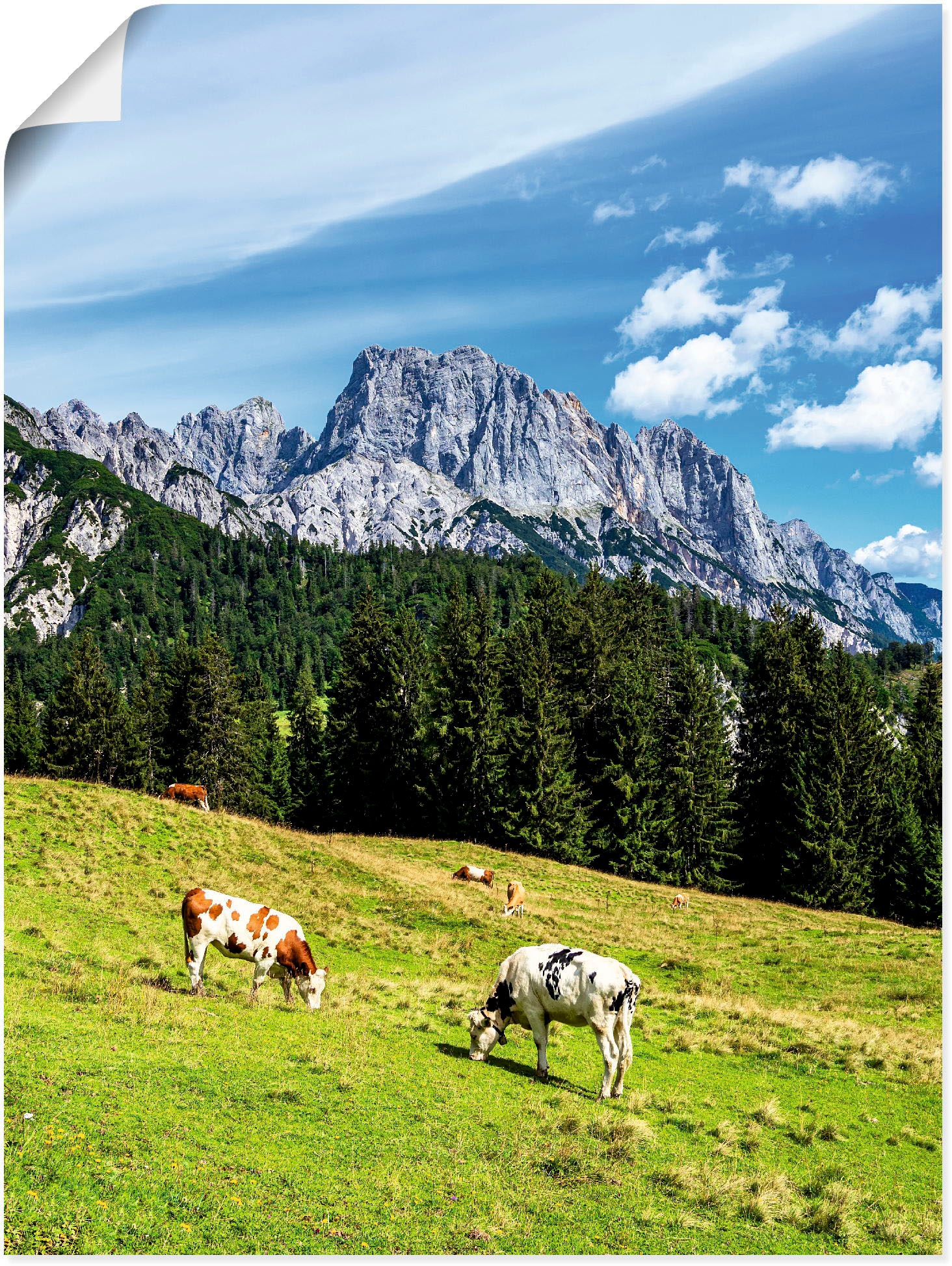 mit als die bestellen Litzlalm Leinwandbild, Alpenbilder, Größen in Poster BAUR »Blick Wandbild Alubild, Kühen«, Berge oder Artland St.), (1 & | auf versch. Wandaufkleber