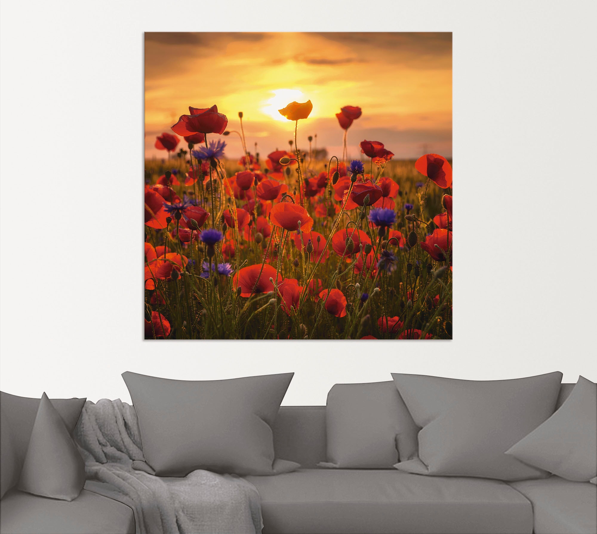 Artland Wandbild »Mohnblumen im Abendlicht«, Blumen, (1 St.), als Alubild, Outdoorbild, Leinwandbild, Poster, Wandaufkleber