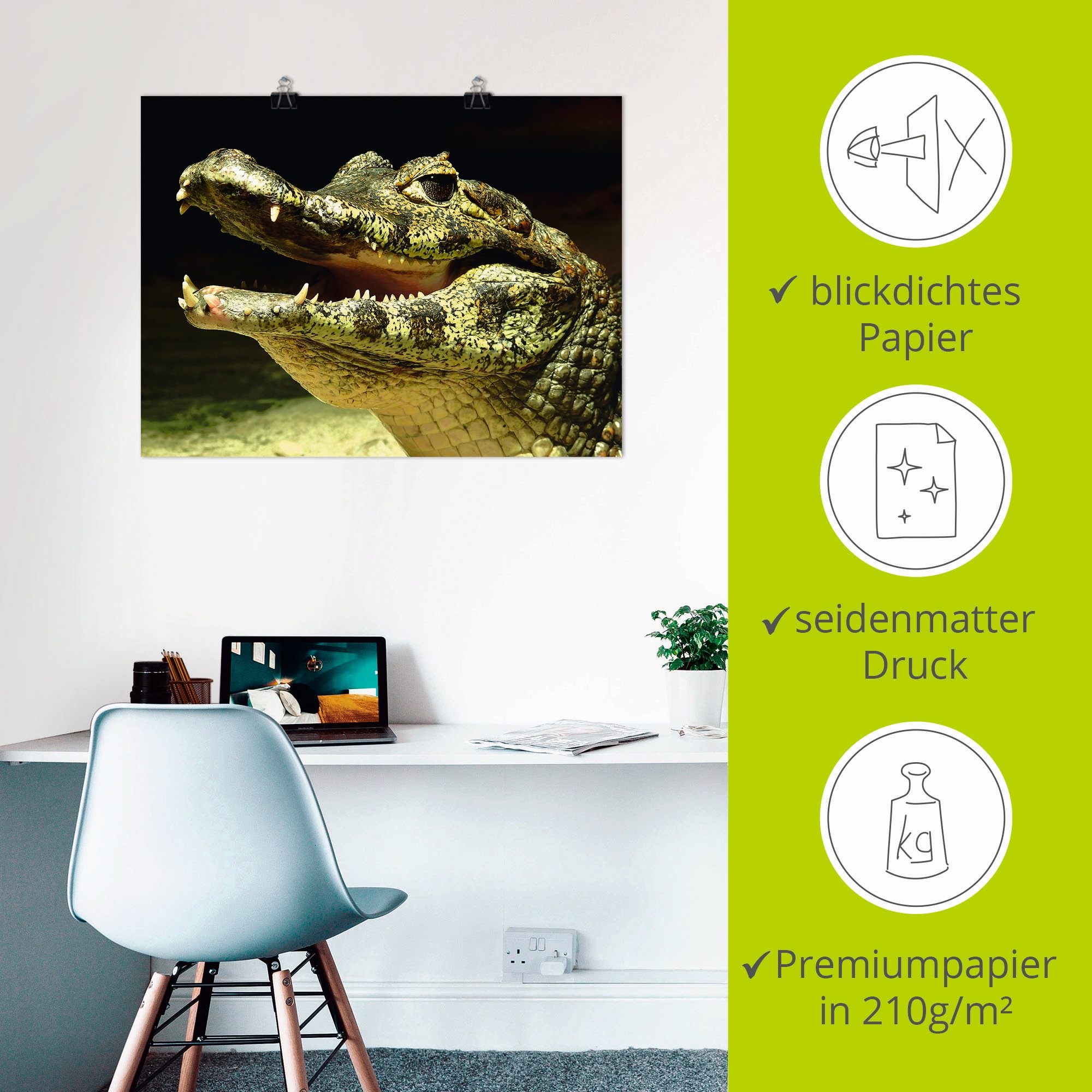 Artland Wandbild »Ein lächelndes Krokodil«, Wassertiere, (1 St.), als Poster, Wandaufkleber in verschied. Größen