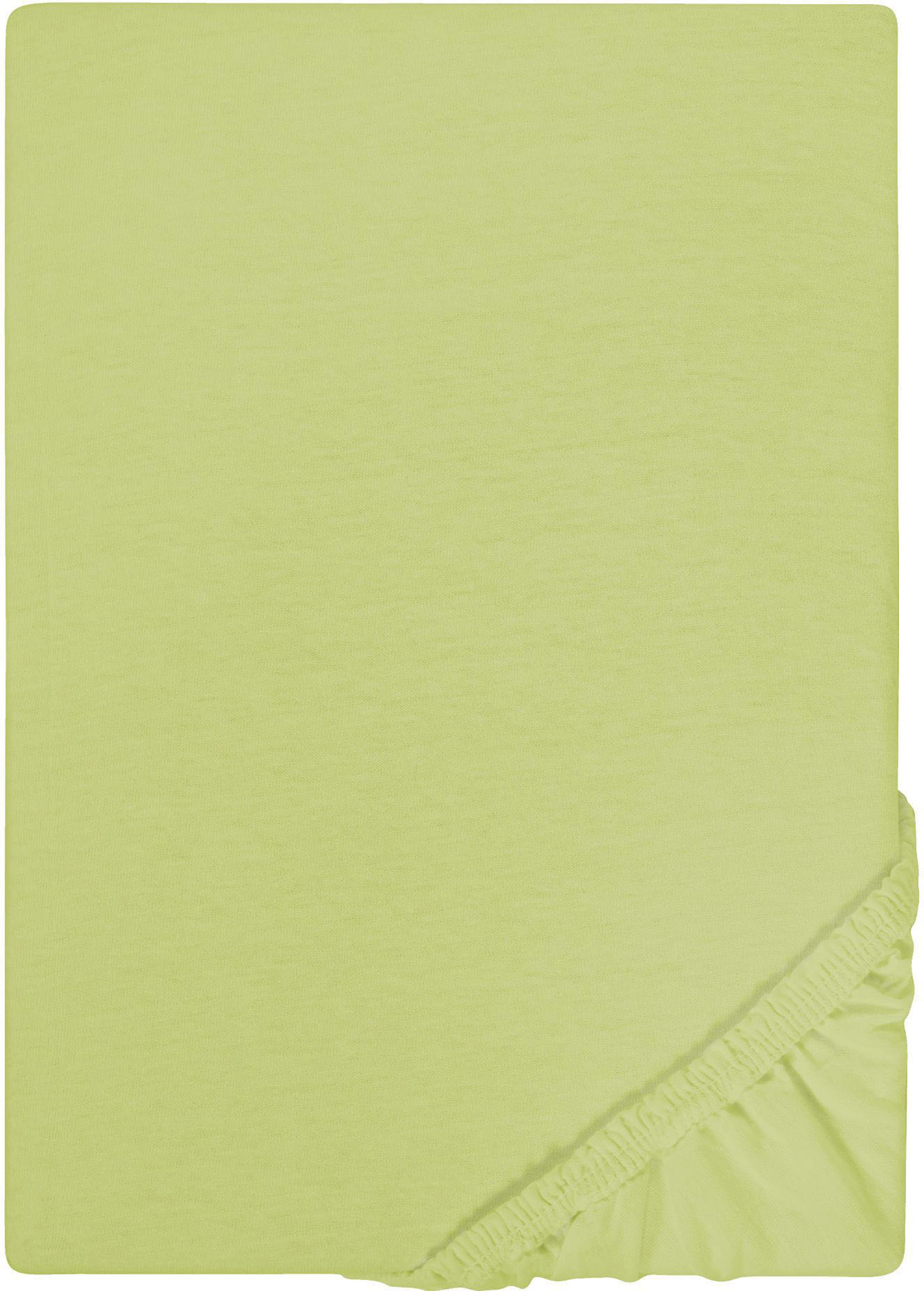 Castell - Markenbettwäsche Spannbettlaken "Jersey in Gr. 90x200, 140x200 oder 180x200 cm" aus Baumwolle, für Matratzen bis 22 cm Höhe, Bettlaken, Spannbetttuch