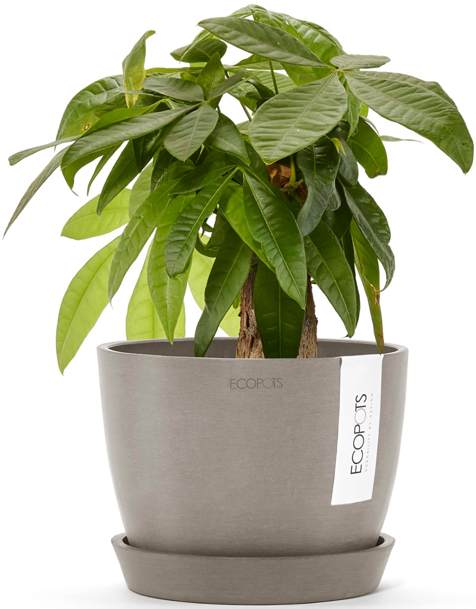 ECOPOTS Blumentopf »Stockholm Mini 16 Taupe«, für innen und außen: frostsicher, bruchsicher und lichtbeständig