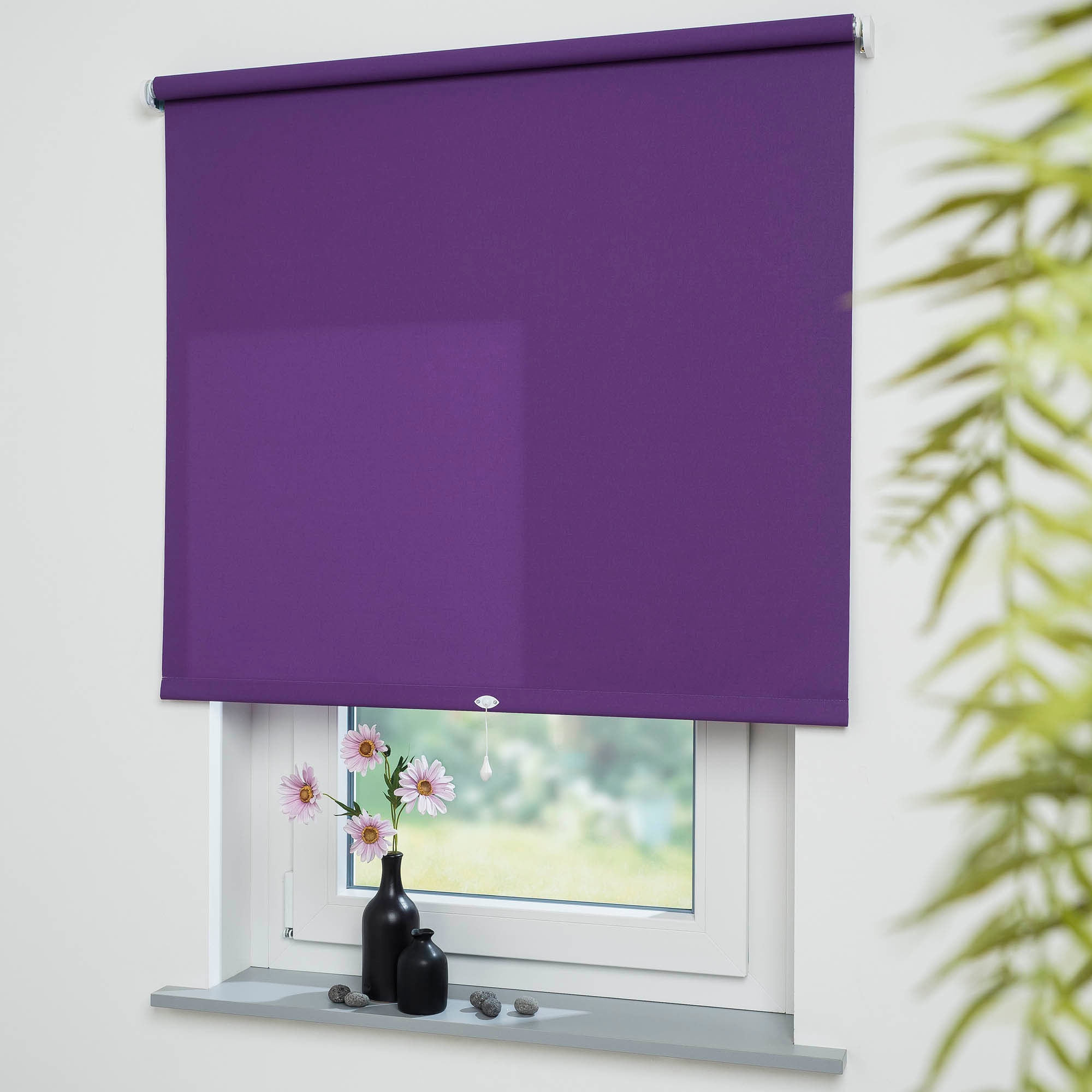 Liedeco Springrollo "Uni" Lichtschutz mit Bohren freihängend Rollowelle 36 günstig online kaufen