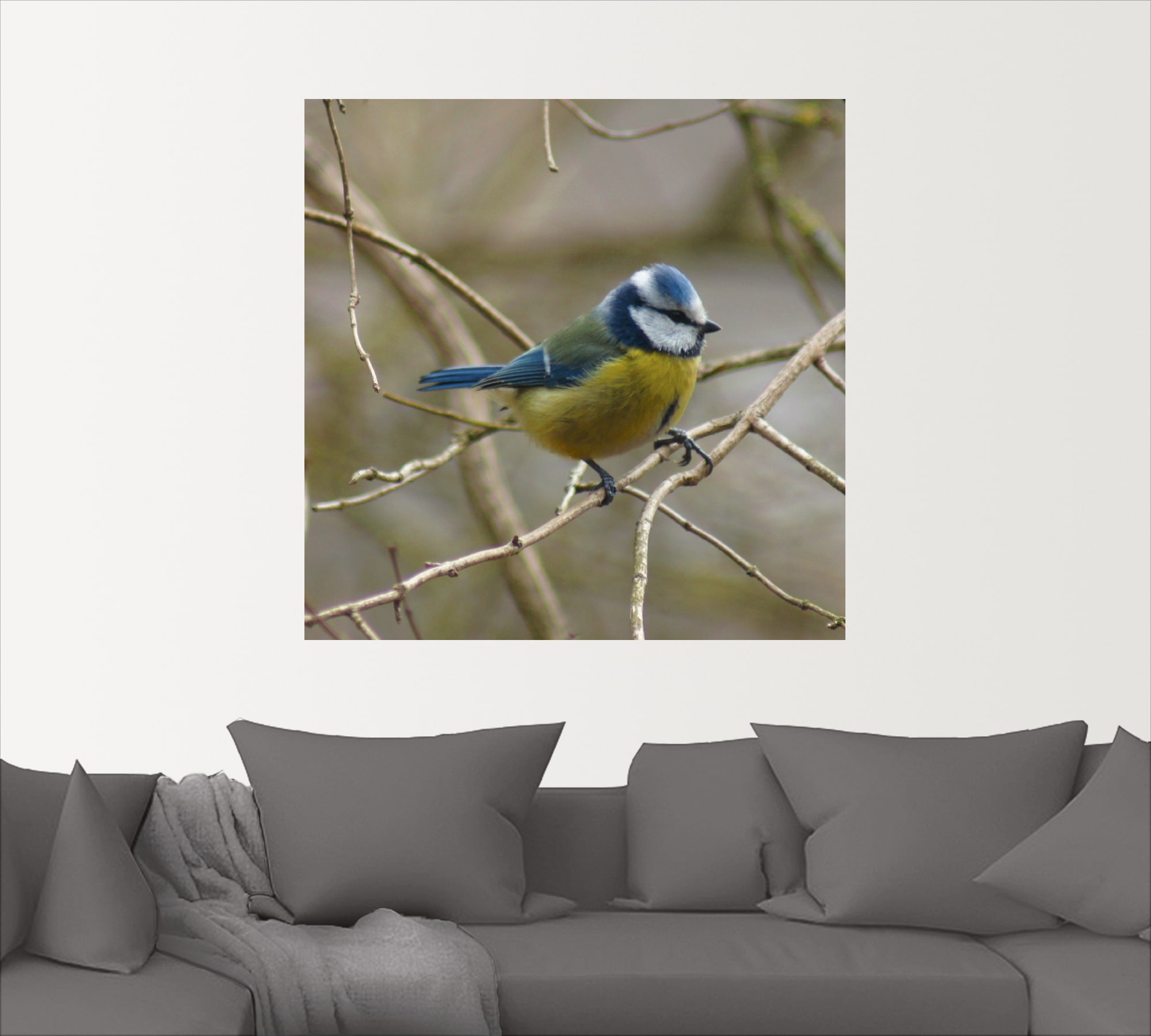 Artland Wandbild »Blaumeise«, Vögel, (1 St.), als Leinwandbild, Wandaufkleber in verschied. Größen