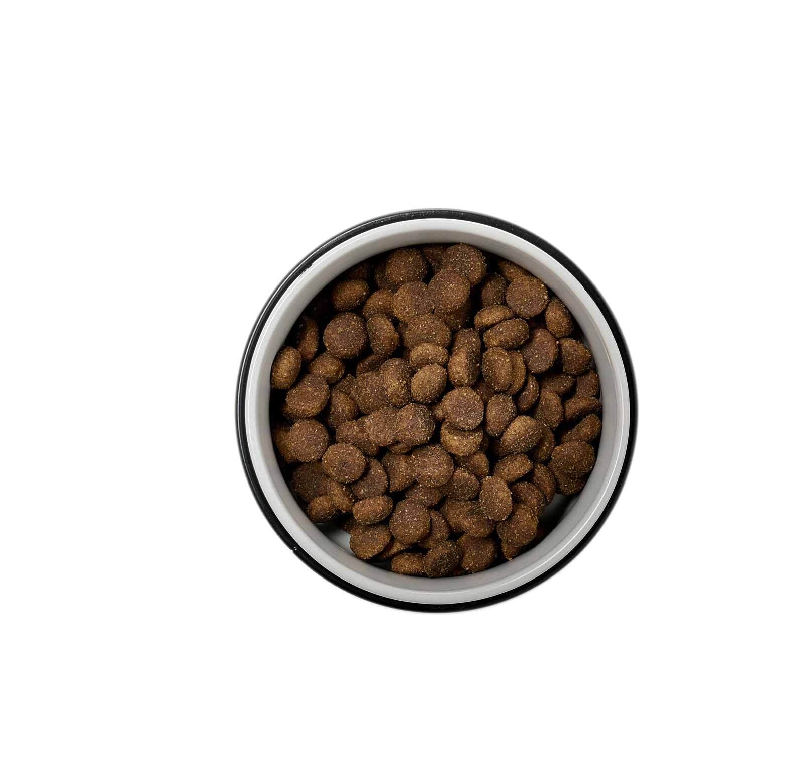Ritzenhoff & Breker Futternapf »Hundenäpfe mit Unterlage Taro ø 14 cm 2er Set grau« Spülmaschinengeeignet