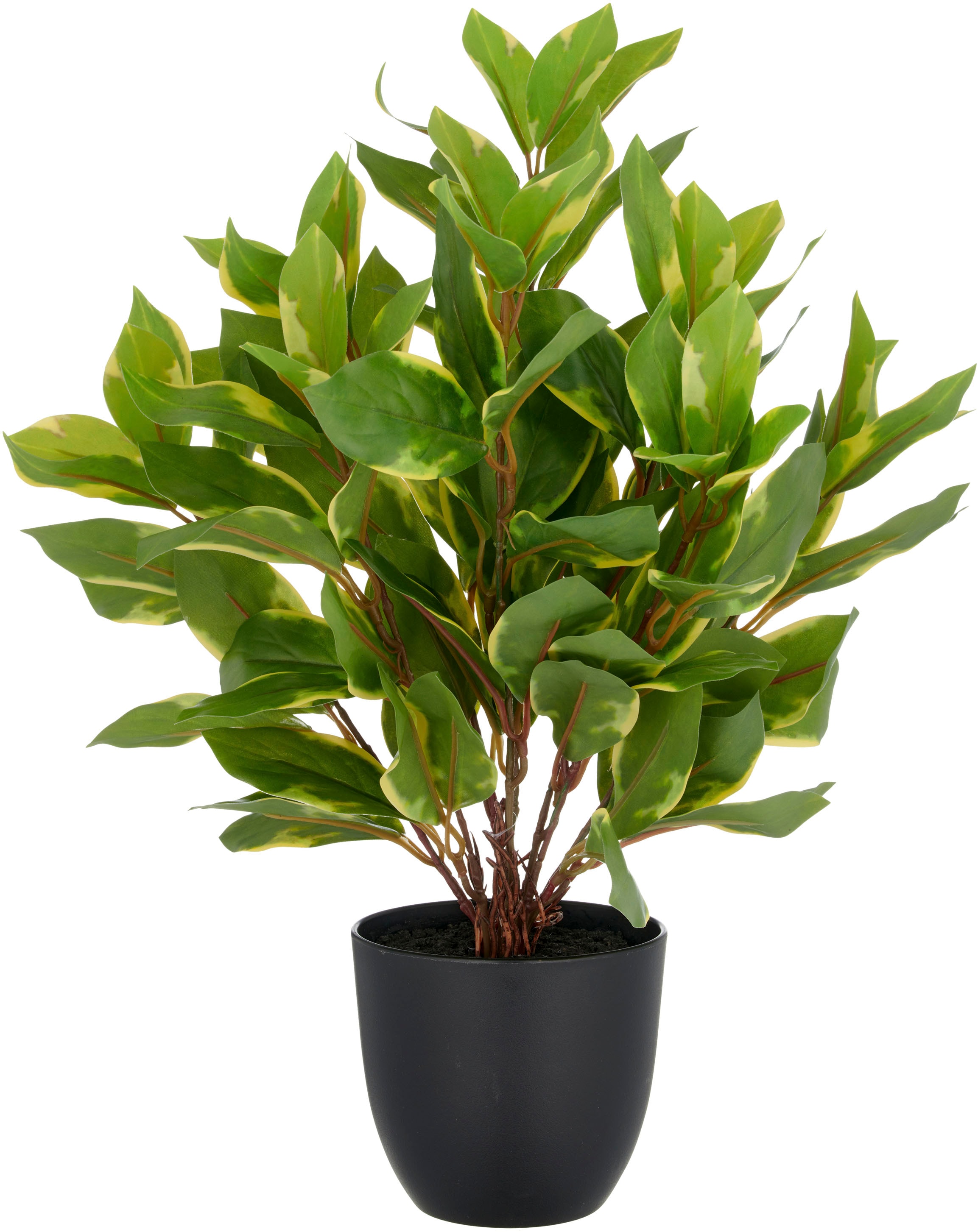 Creativ green Kunstpflanze "Epipremnum aureum", mit schönem Blattwerk günstig online kaufen