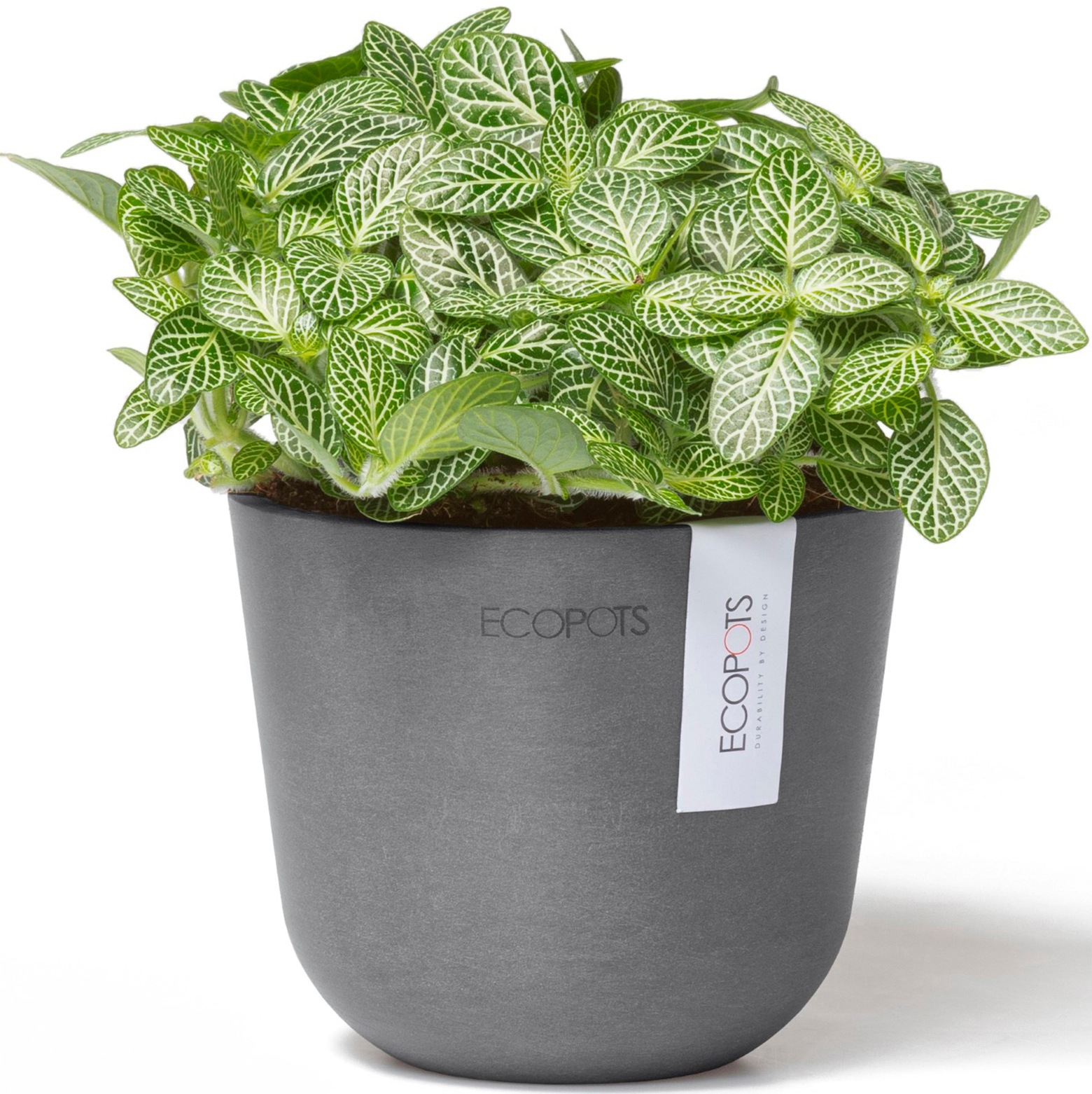 ECOPOTS Blumentopf »Oslo Mini 11,5 Grau«, für den Innenbereich