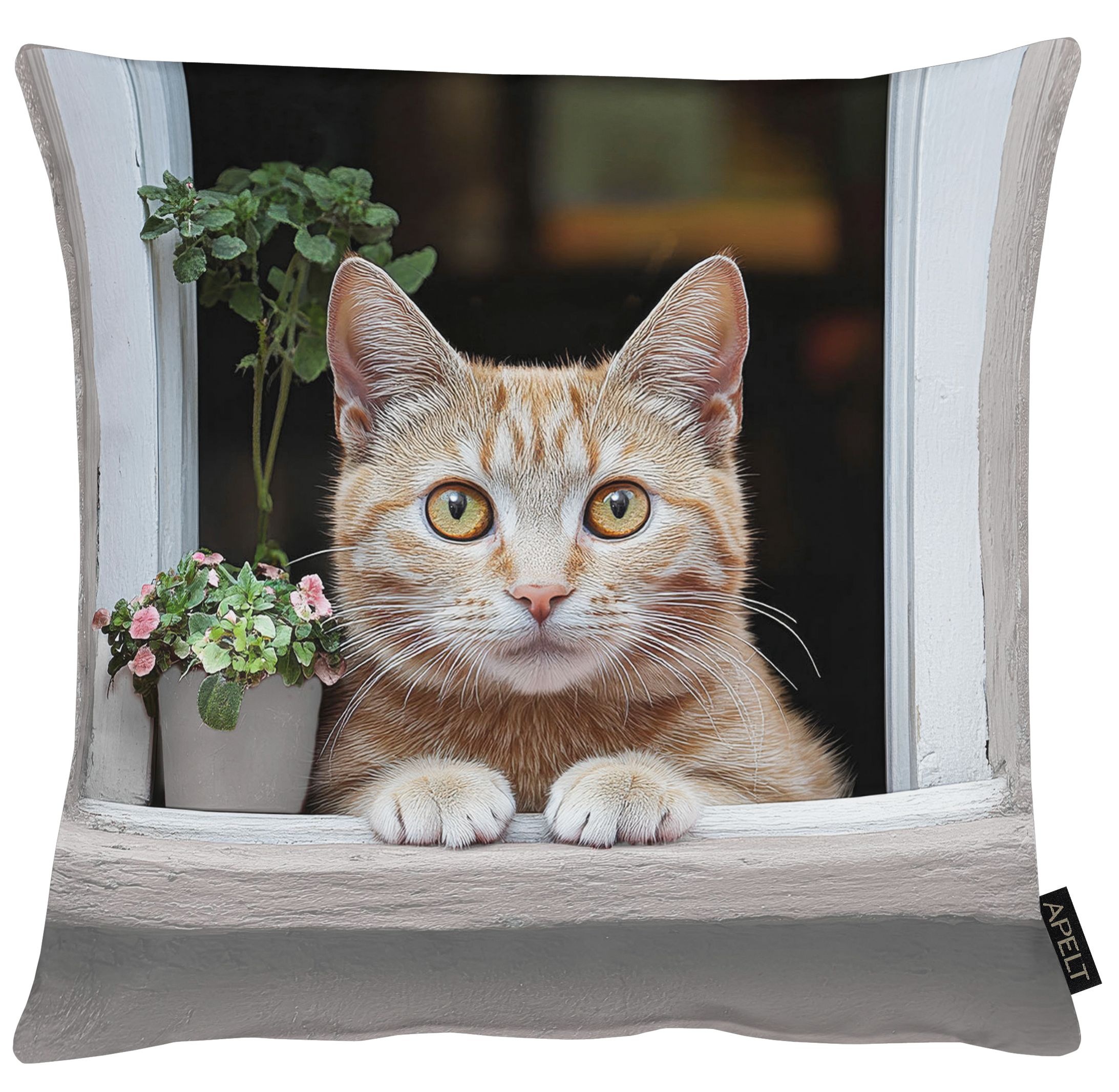 Kissenhülle APELT, B:46cm H:0,5cm L:46cmbeige, grau, Mischgewebe, Bezug: 75% Baumwolle, 25% Polyester, Kissenbezüge, "Mimi", Lieblingskatze