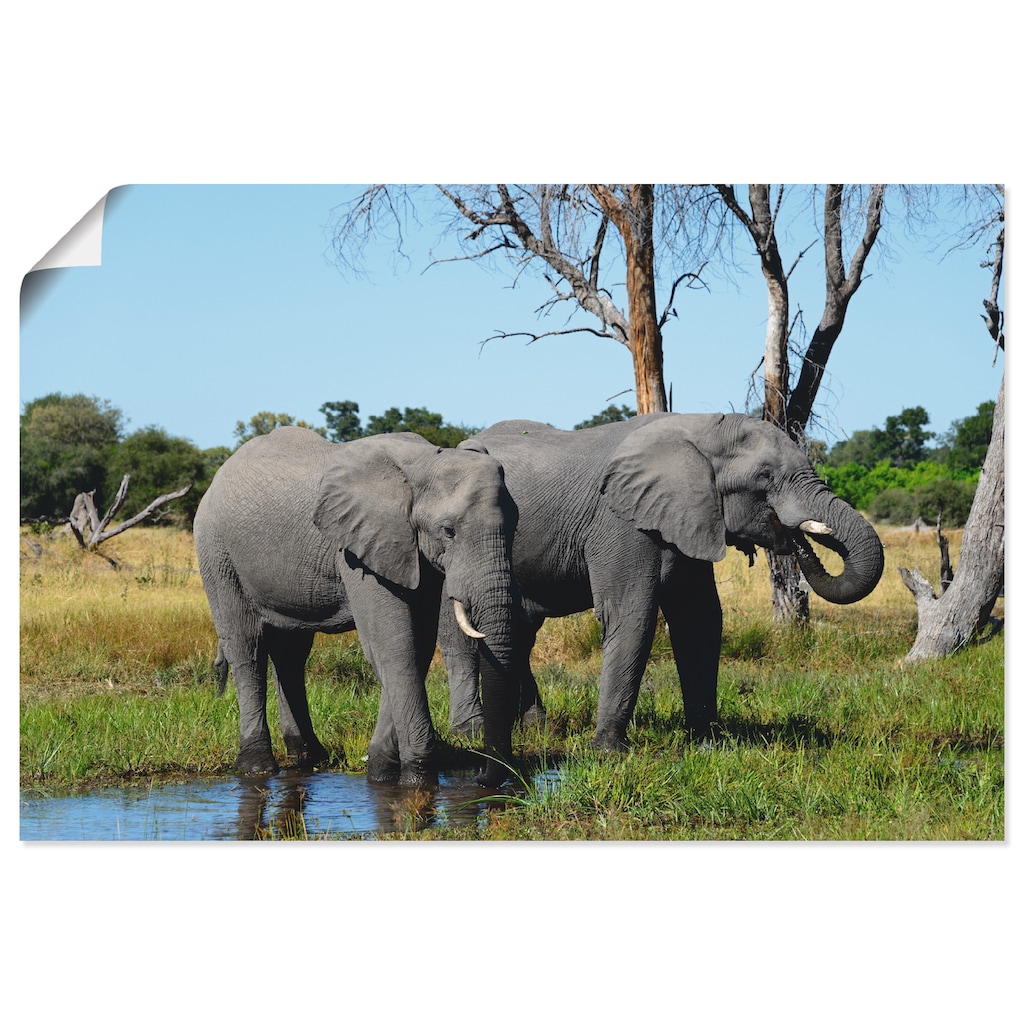 Artland Wandbild »Afrikanische Elefanten«, Wildtiere, (1 St.)