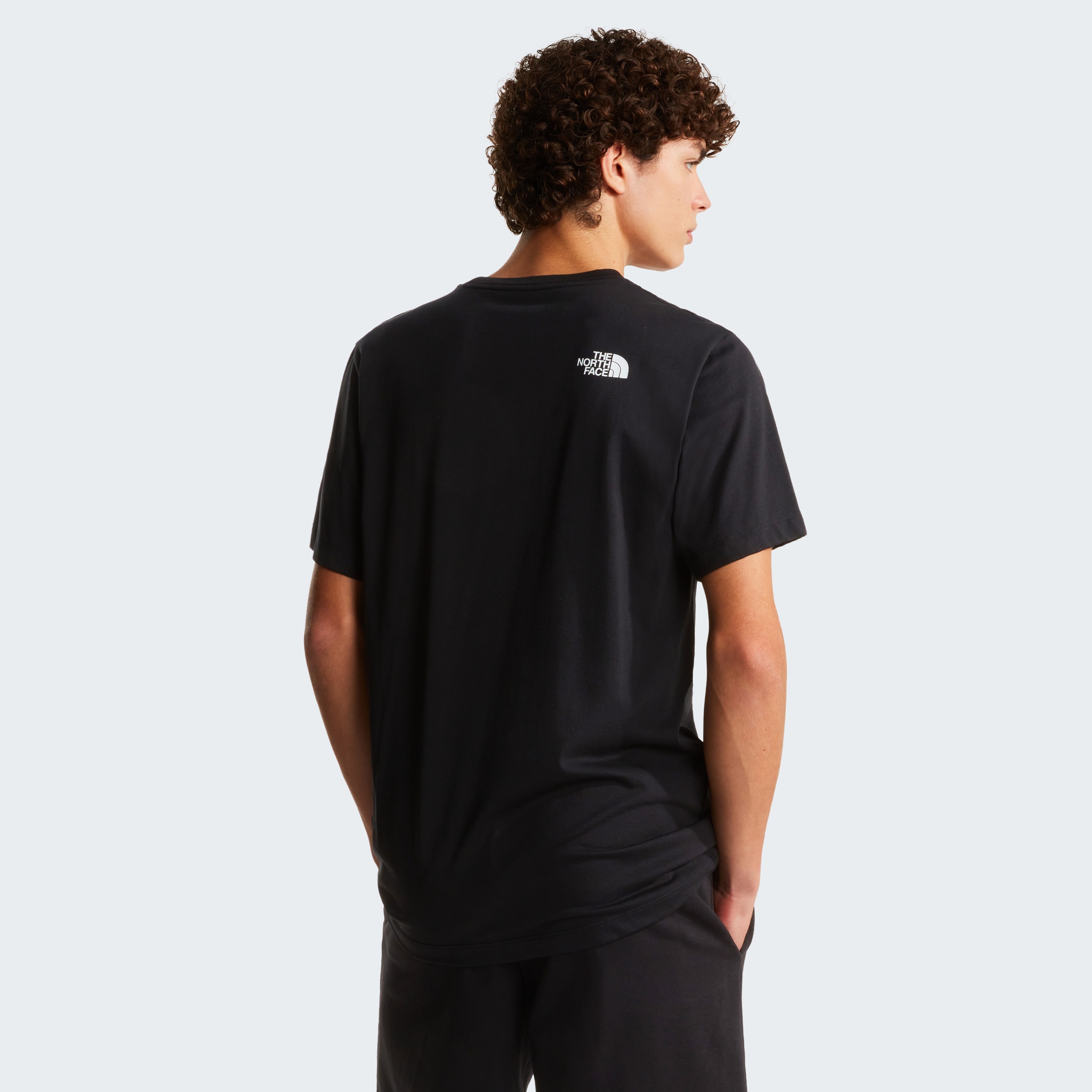 The North Face T-Shirt "M EVOLUTION BOX HALF DOME REGULAR SHORT SLEEVE TEE" günstig online kaufen