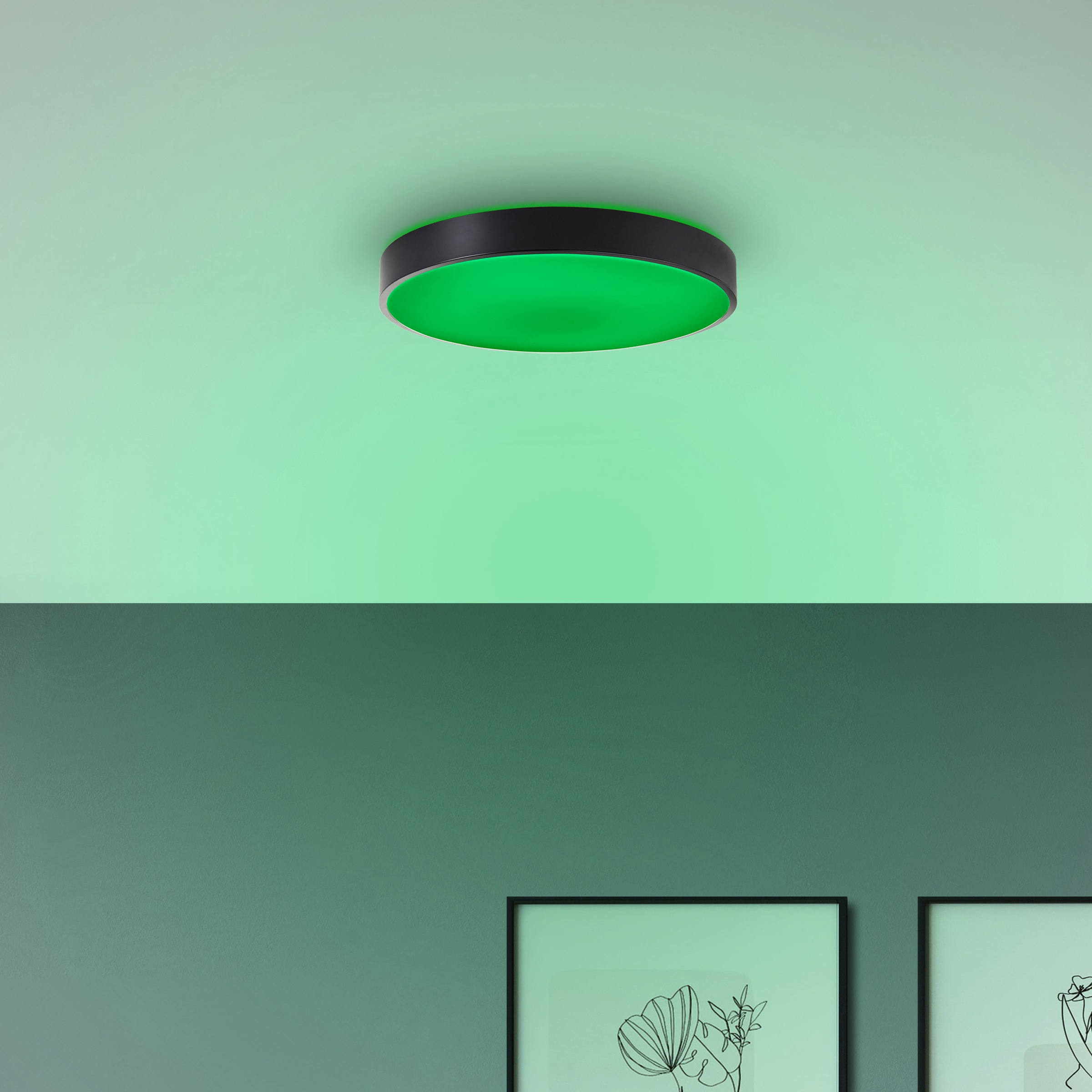 Brilliant LED Deckenleuchte »Vadin«, Smart Home Leuchte, Ø 49 cm, 3000-6500 K, 3500 lm, RGB, dimmbar
