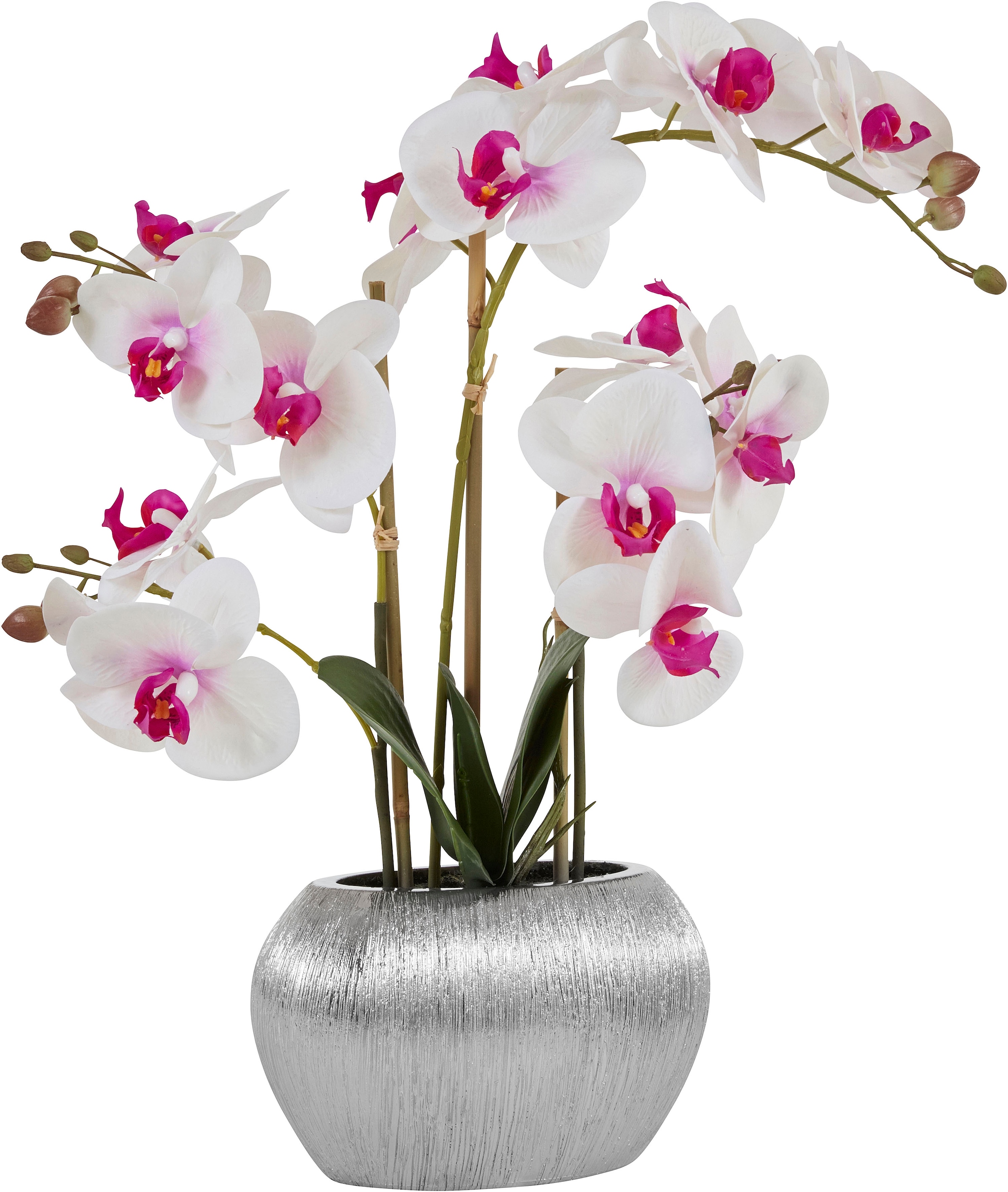 Home affaire Kunstpflanze »Orchidee«, Kunstorchidee, | Topf im bestellen BAUR