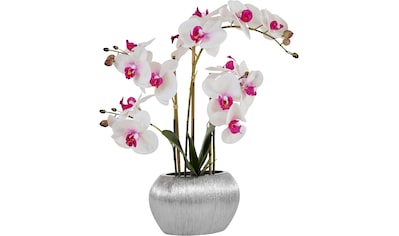 Home affaire Kunstpflanze »Orchidee«, (1 St.), Kunstorchidee, im Topf kaufen