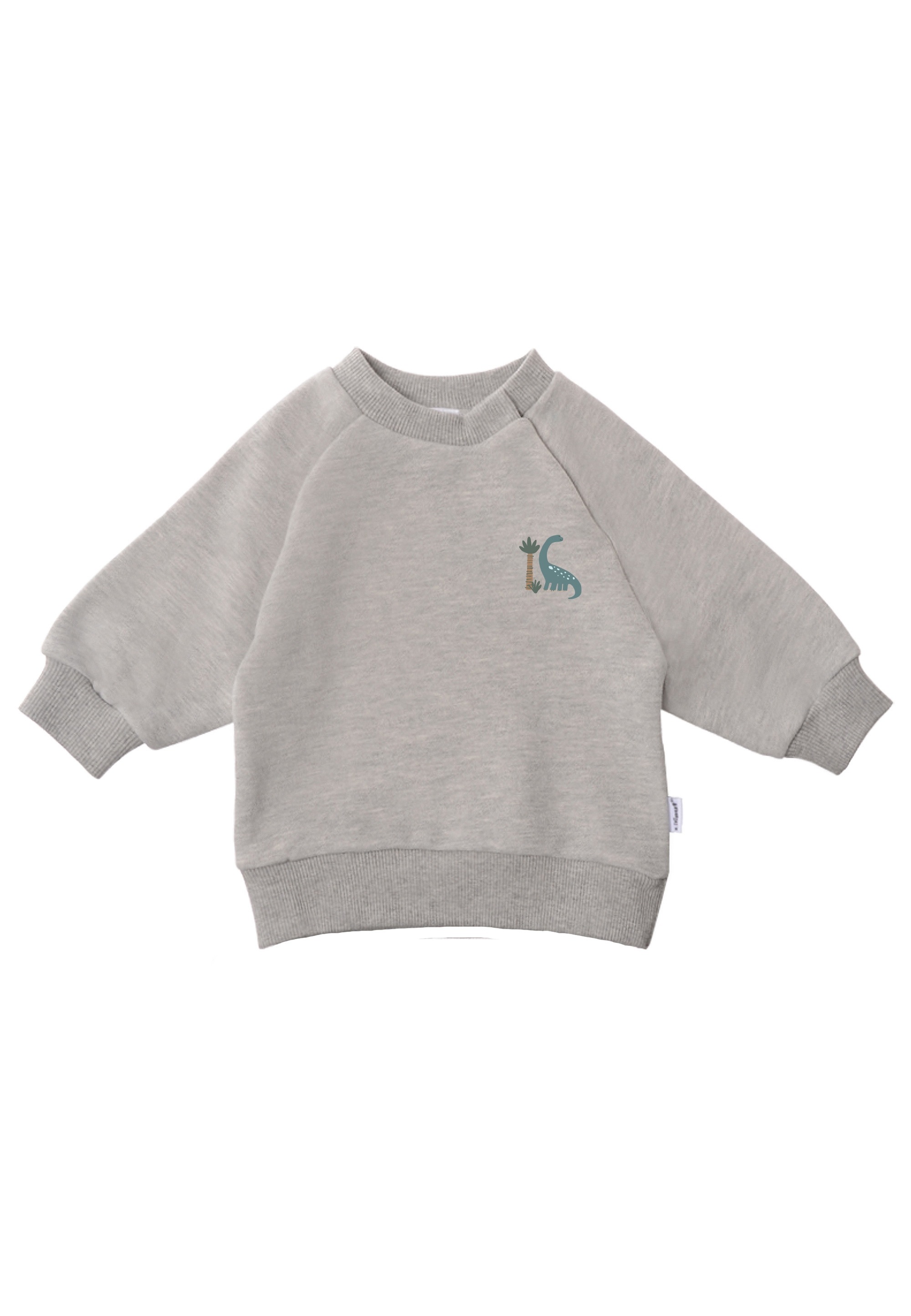 Liliput Sweatanzug »Dinosaurier«, mit niedlichem Dino-Print