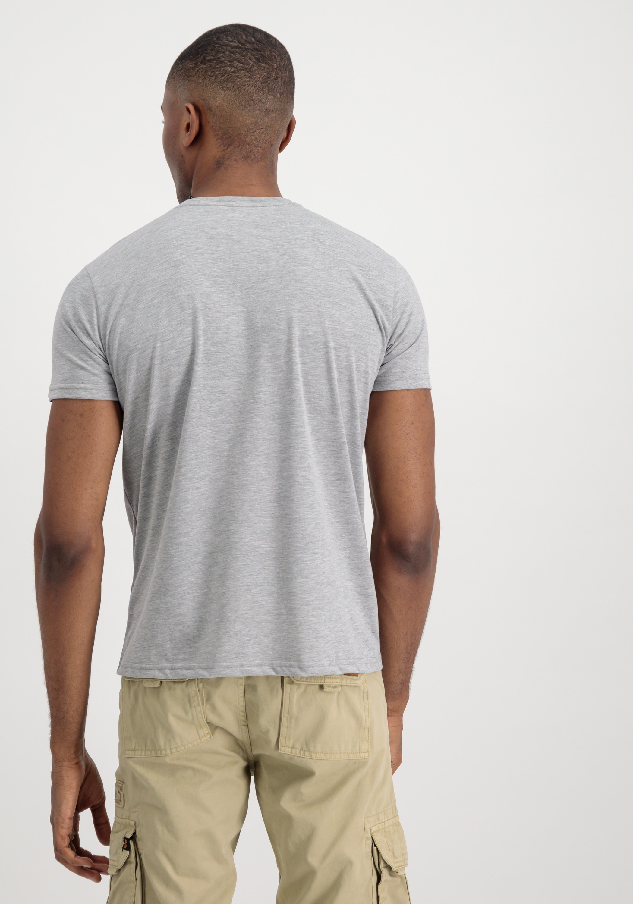 Alpha Industries T-Shirt »Basic T-Shirt BL«