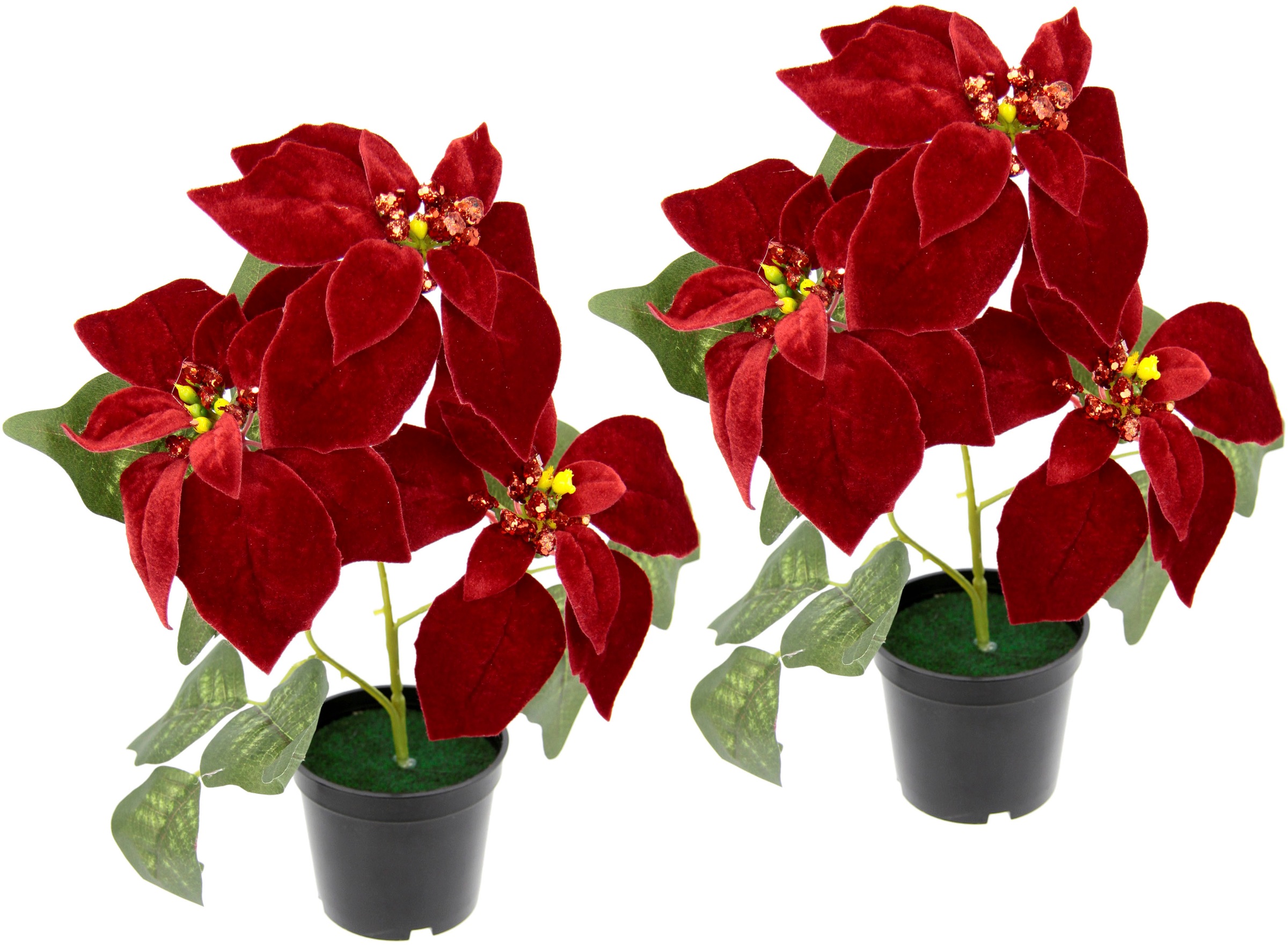 I.GE.A. Kunstpflanze "Samt-Poinsettie", im Topf, 2er Set