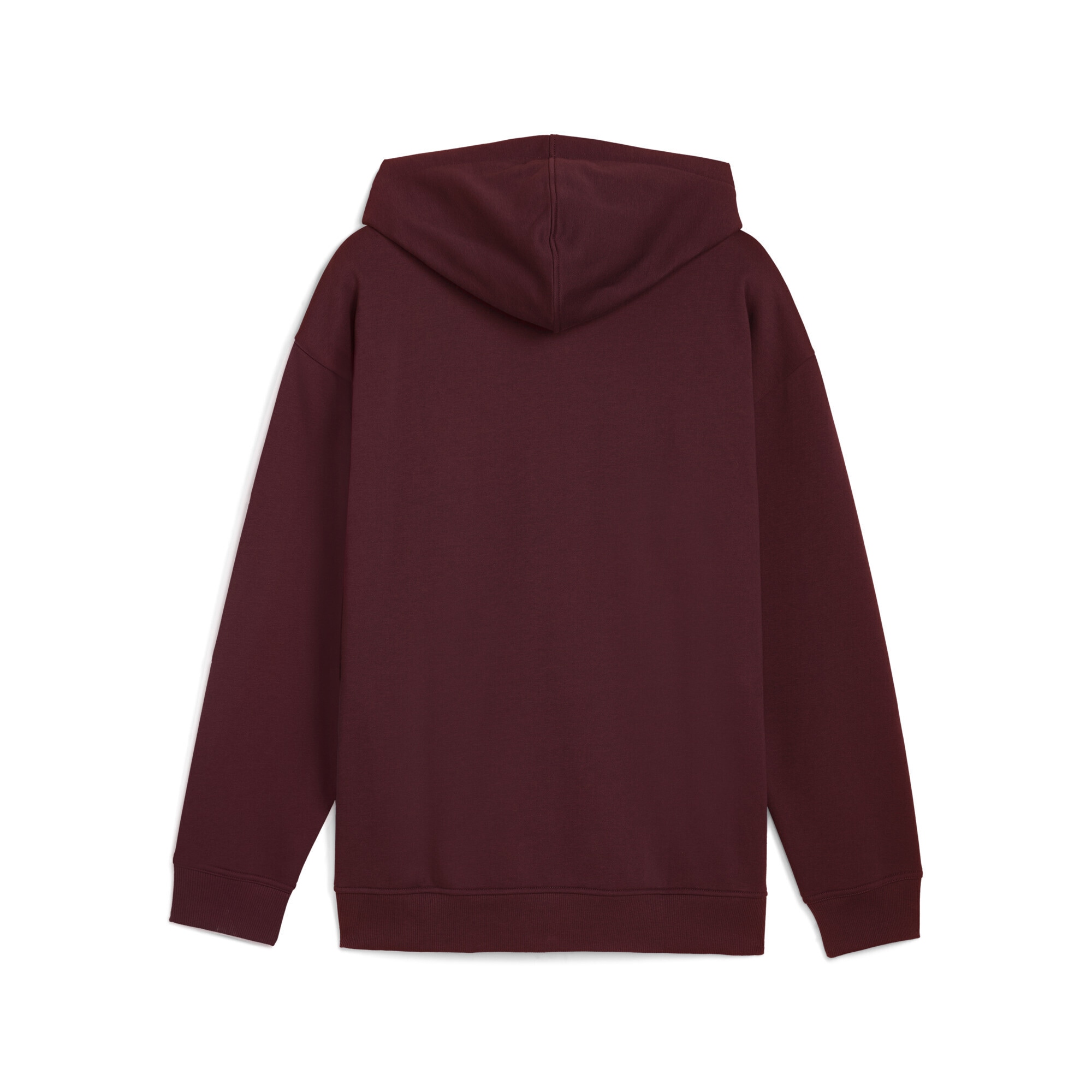 PUMA Sweatjacke »BMW M Motorsport Essentials Kapuzenjacke Herren«