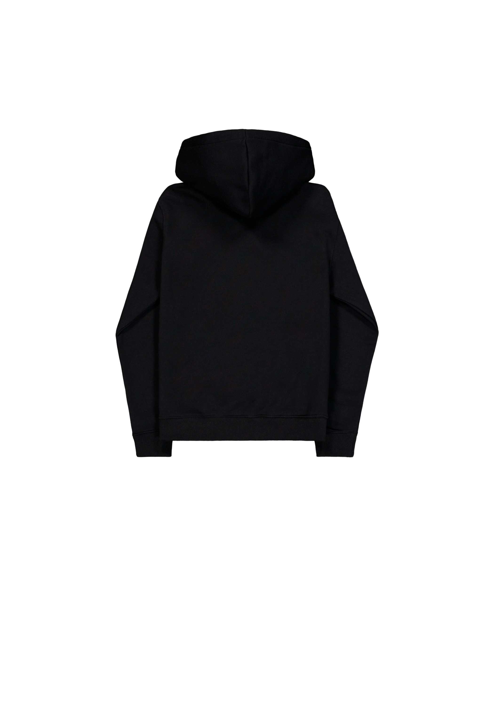 Alpha Industries Kapuzensweatshirt »Basic Hoodie BL Mirror Leo W«
