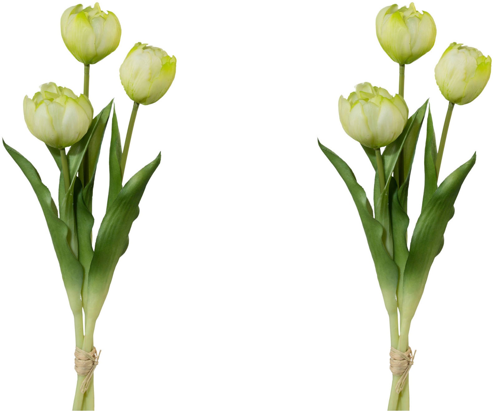 my home Kunsttulpe "Gefüllte Tulpen" günstig online kaufen