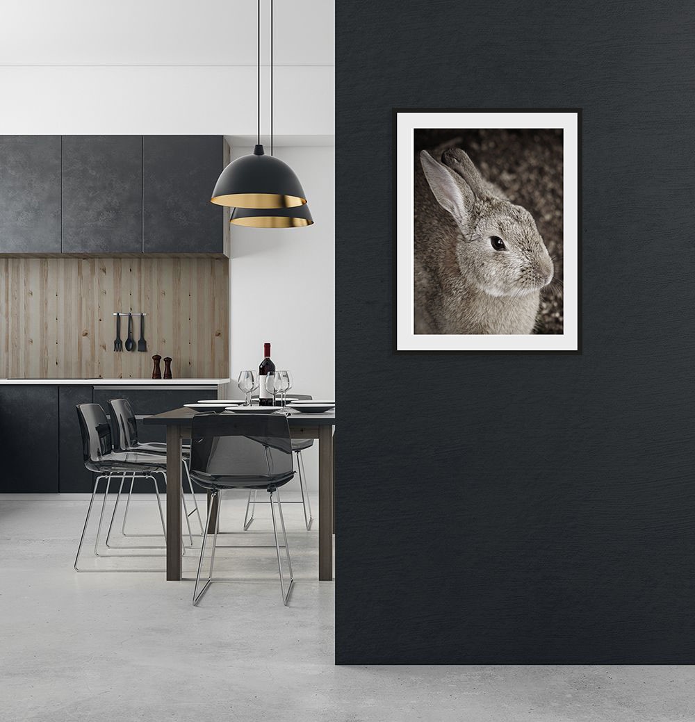 queence Bild »Tilde«, Hase-Hasen-Foto-Kunst-Haustiere, (1 St.), HD Premium Poster-Druck inkl. Holzrahmen