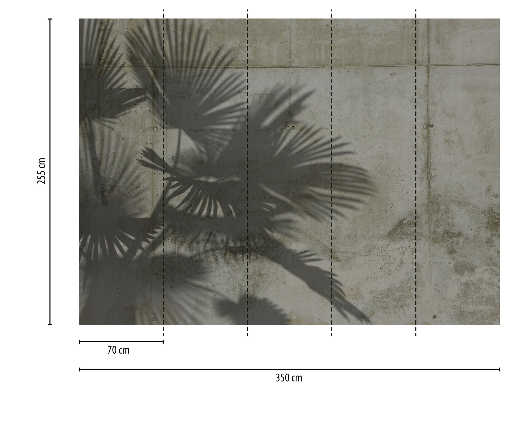 Thumbnail - A.S. Création Vliestapete "Fototapete Palmenschatten auf Betonoptik Grau" matt strukturiert