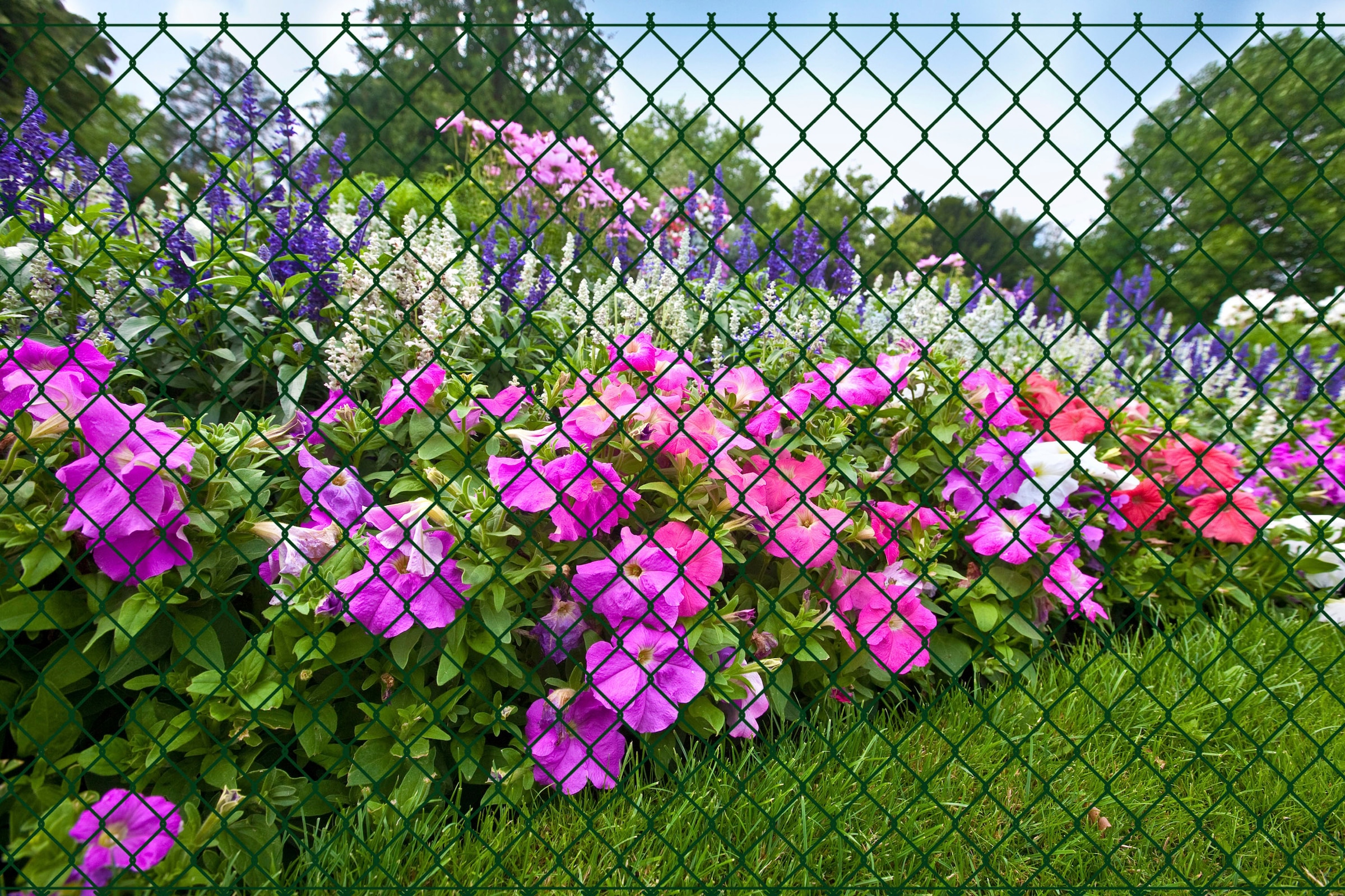 GARDEN 'N' MORE Maschendrahtzaun, 1 Element für 25 m, LxH: 2500 x 125 cm, mit 11 Pfosten