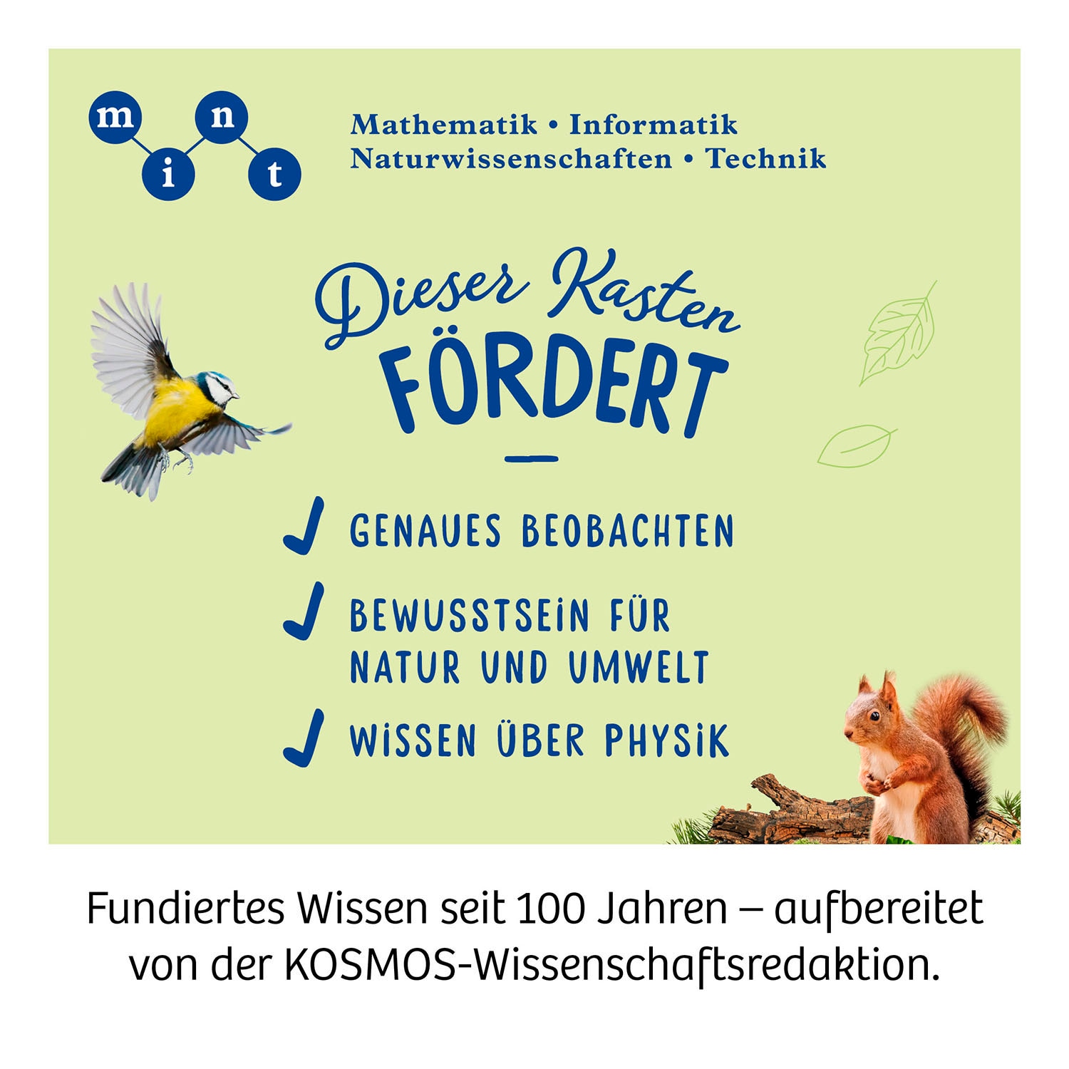 Kosmos Fernrohr »Entdecke deine Welt«