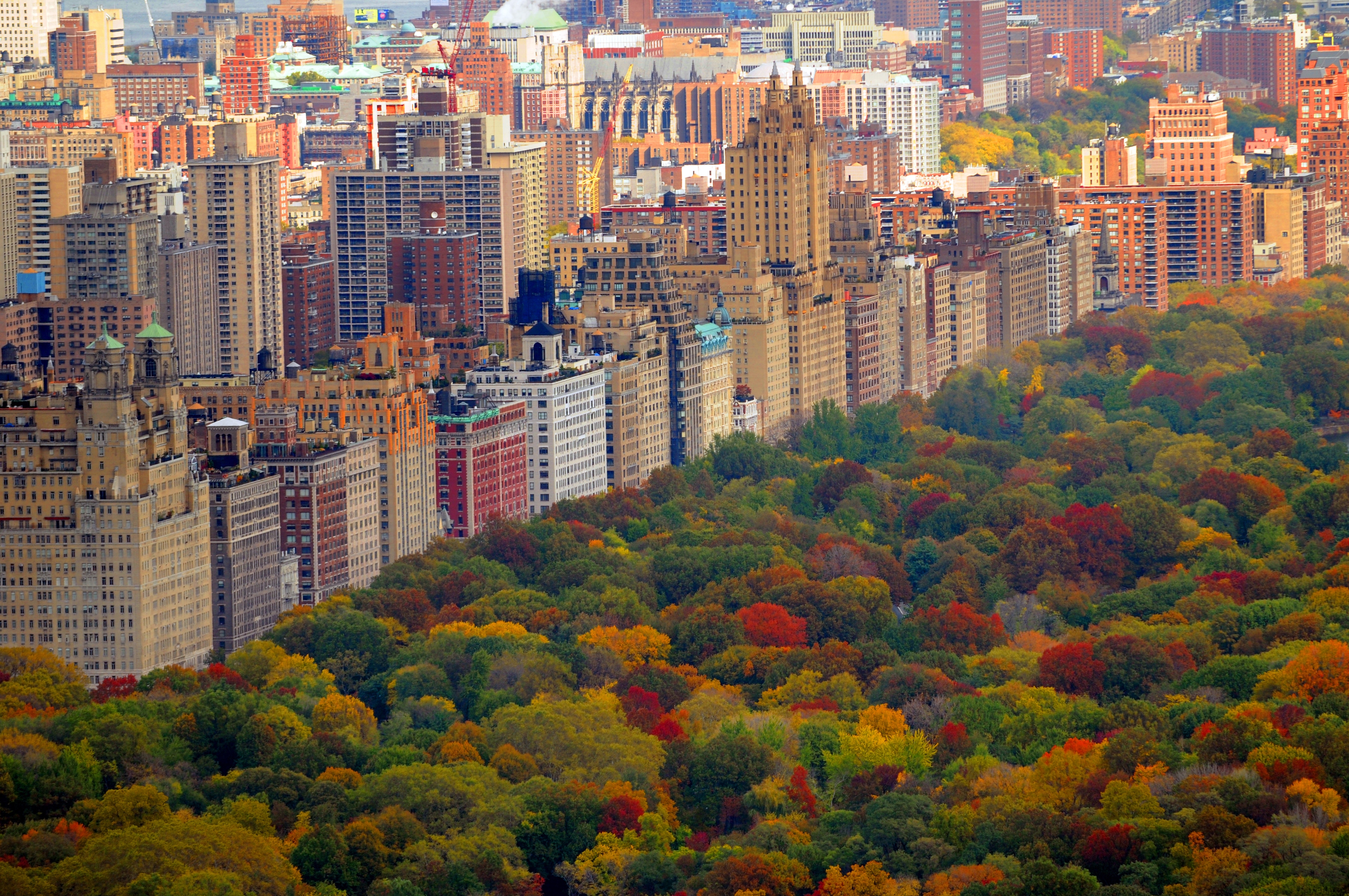 Papermoon Fototapete "Central Park" glatt