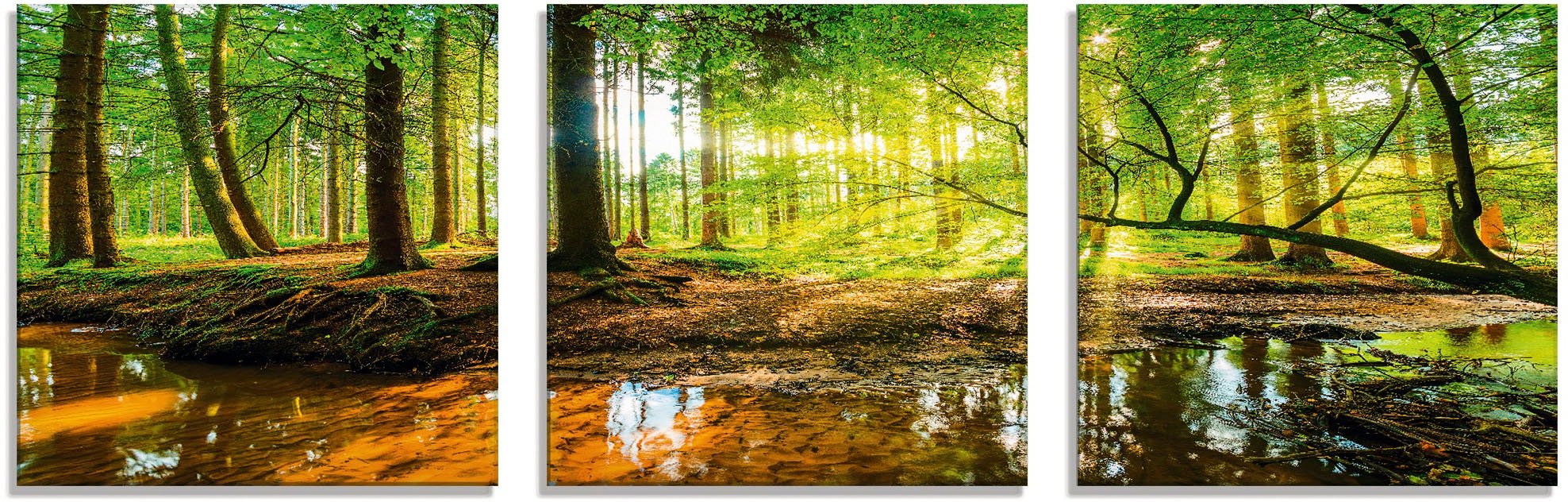 Artland Glasbild »Wald mit Bach«, Wald, (3 St.), in verschiedenen Größen