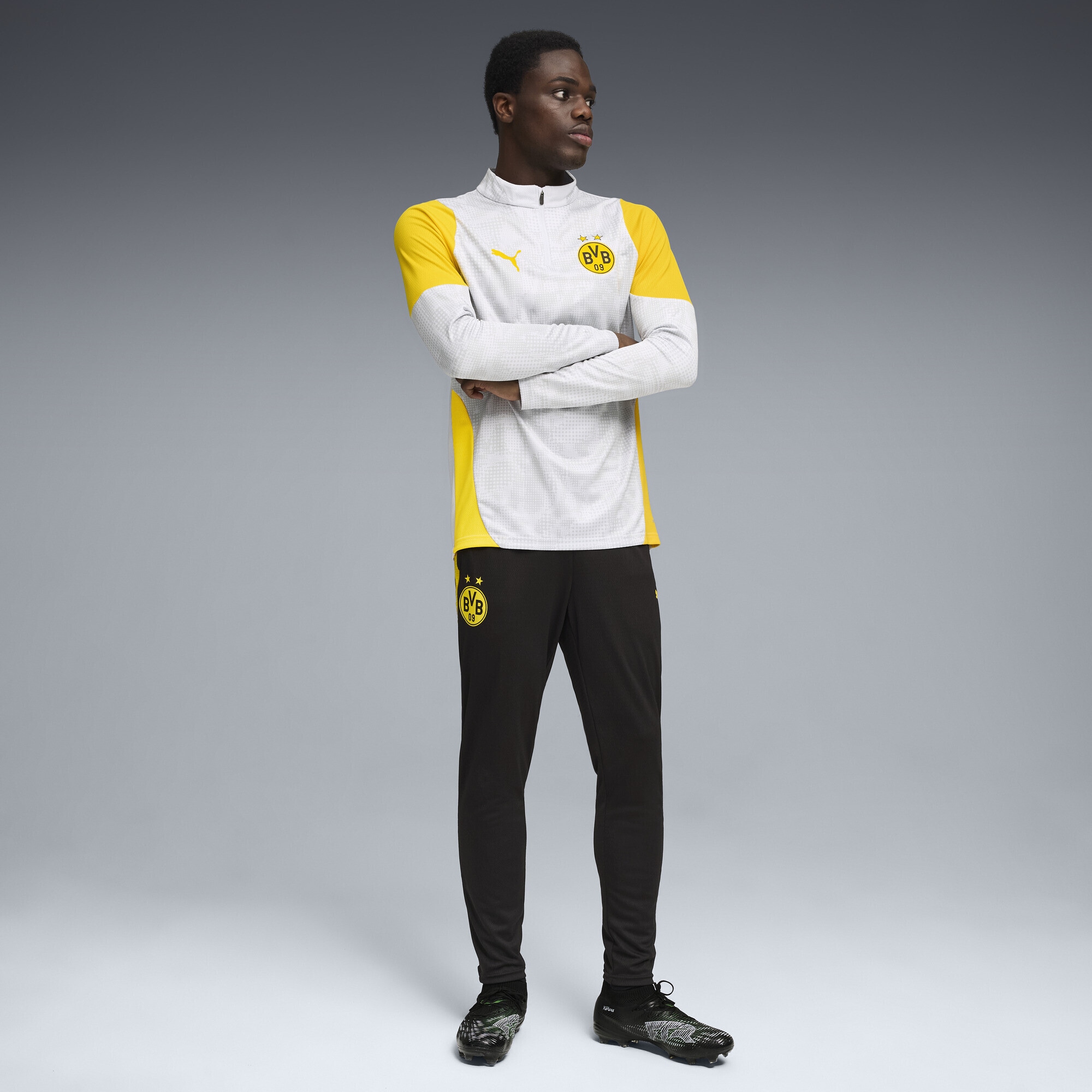 PUMA T-Shirt »Borussia Dortmund Trainingstop Herren«