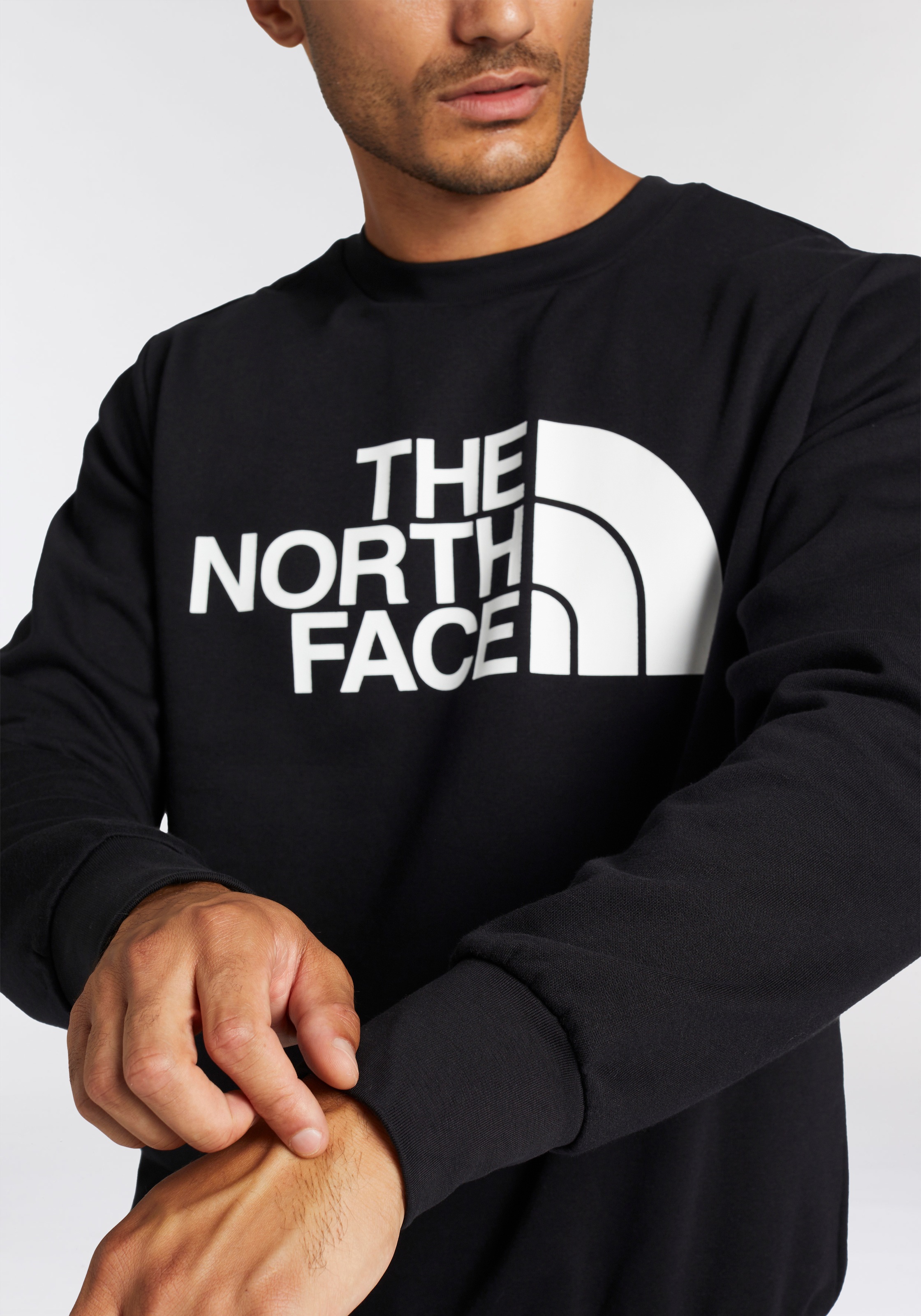 The North Face Sweater, für Freizeitaktivitäten, mit Logodruck und Markenla günstig online kaufen