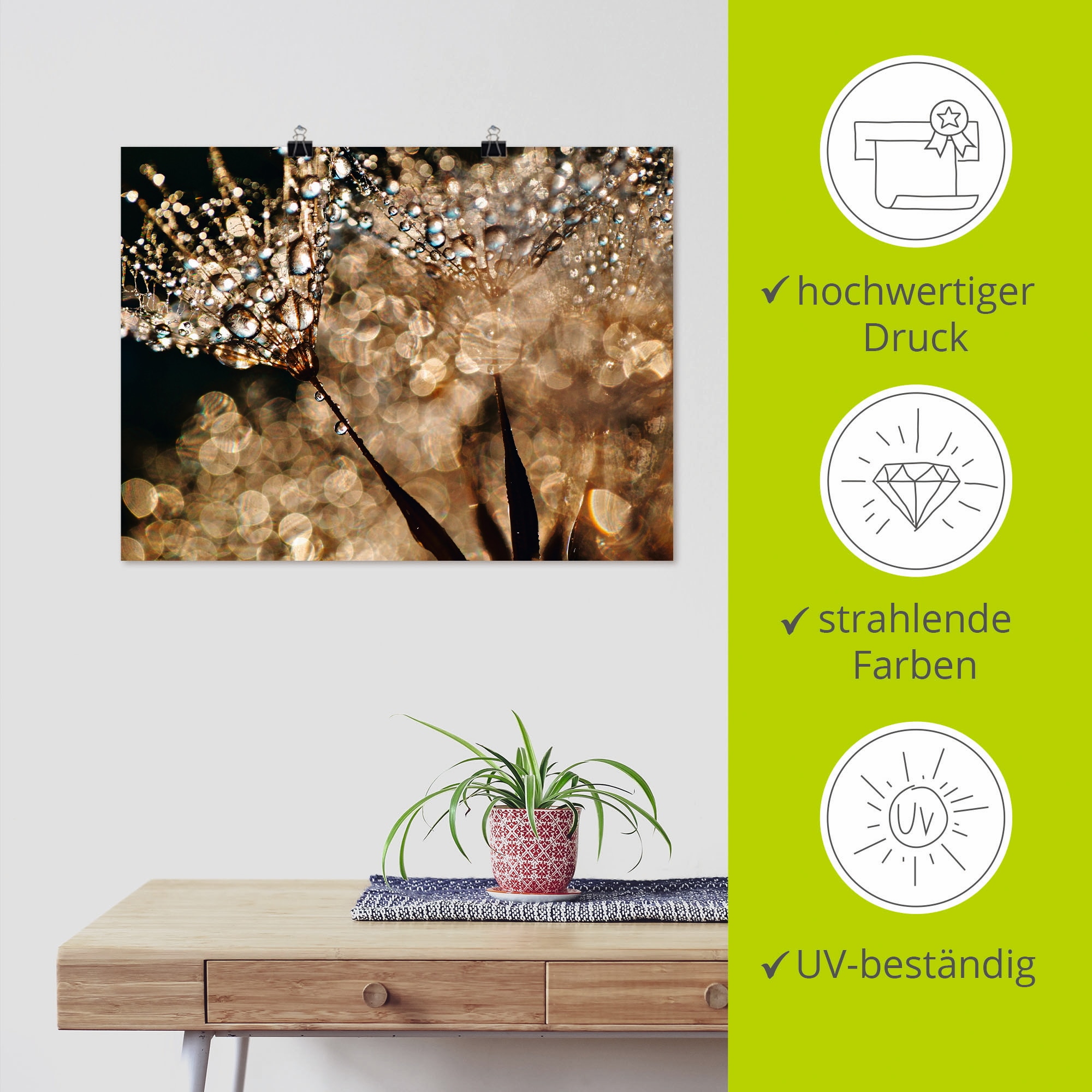 Artland Wandbild »Pusteblume Goldschimmer«, Blumen, (1 St.), als Alubild, Outdoorbild, Leinwandbild, Poster, Wandaufkleber
