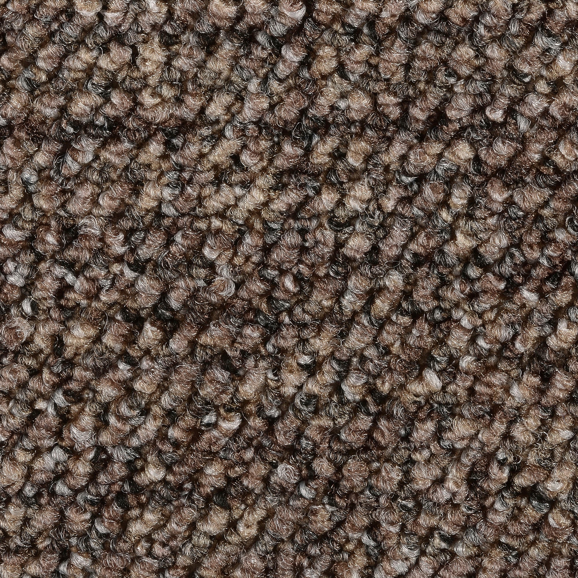rechteckig, kaufen Bodenmeister Teppichboden | BAUR »Aragosta«, fußbodenheizungsgeeignet
