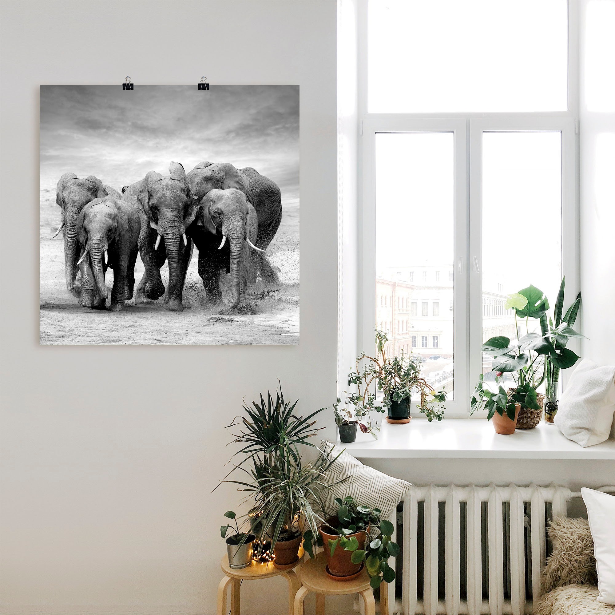 Artland Wandbild "Elefanten", Wildtiere, (1 St.), als Leinwandbild, Poster, günstig online kaufen