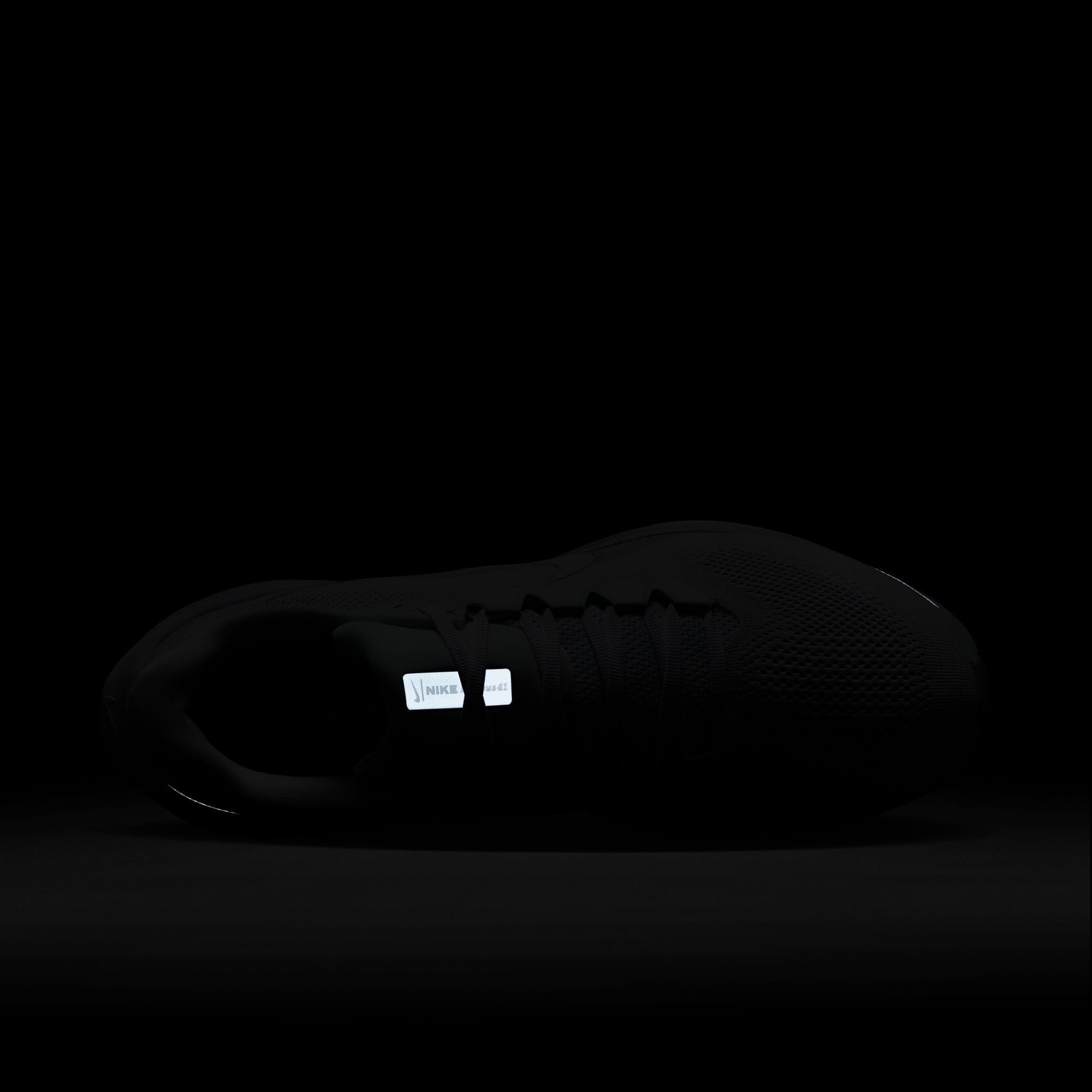 Nike Laufschuh »AIR ZOOM PEGASUS 41«