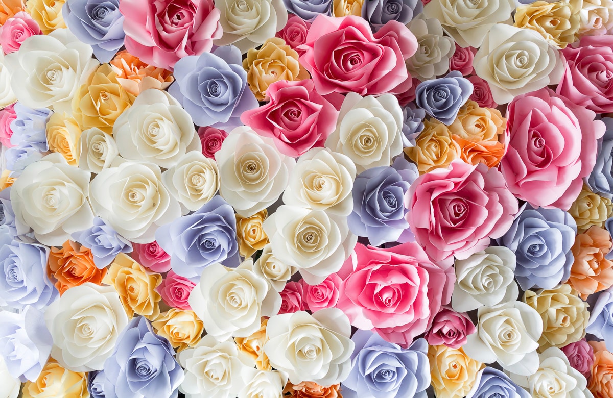 Papermoon Fototapete "ROSEN-BLUMEN ABSTRAKT TEXTUR MUSTER FARBIG DEKO GARTEN"